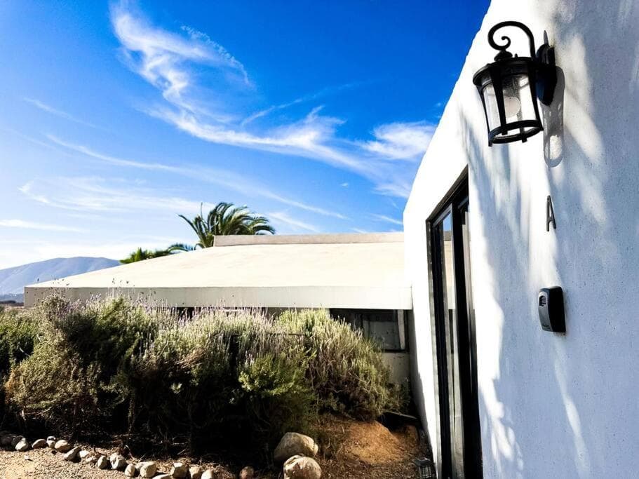 Villa Nebbiolo Viñedo Valle De Guadalupe Vino