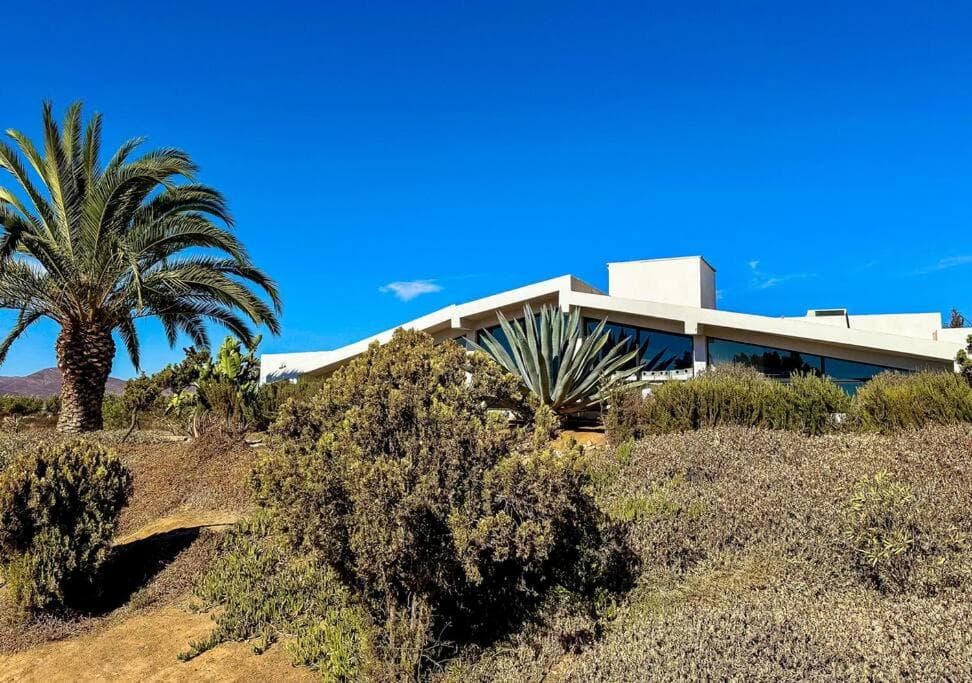 Villa Nebbiolo Viñedo Valle De Guadalupe Vino