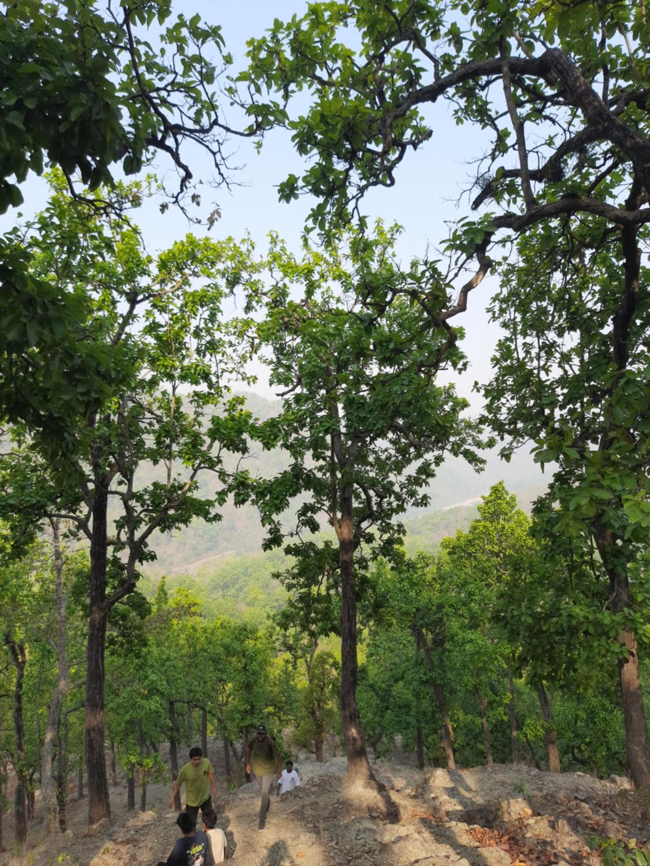 Corbett Rivervalley Homestay