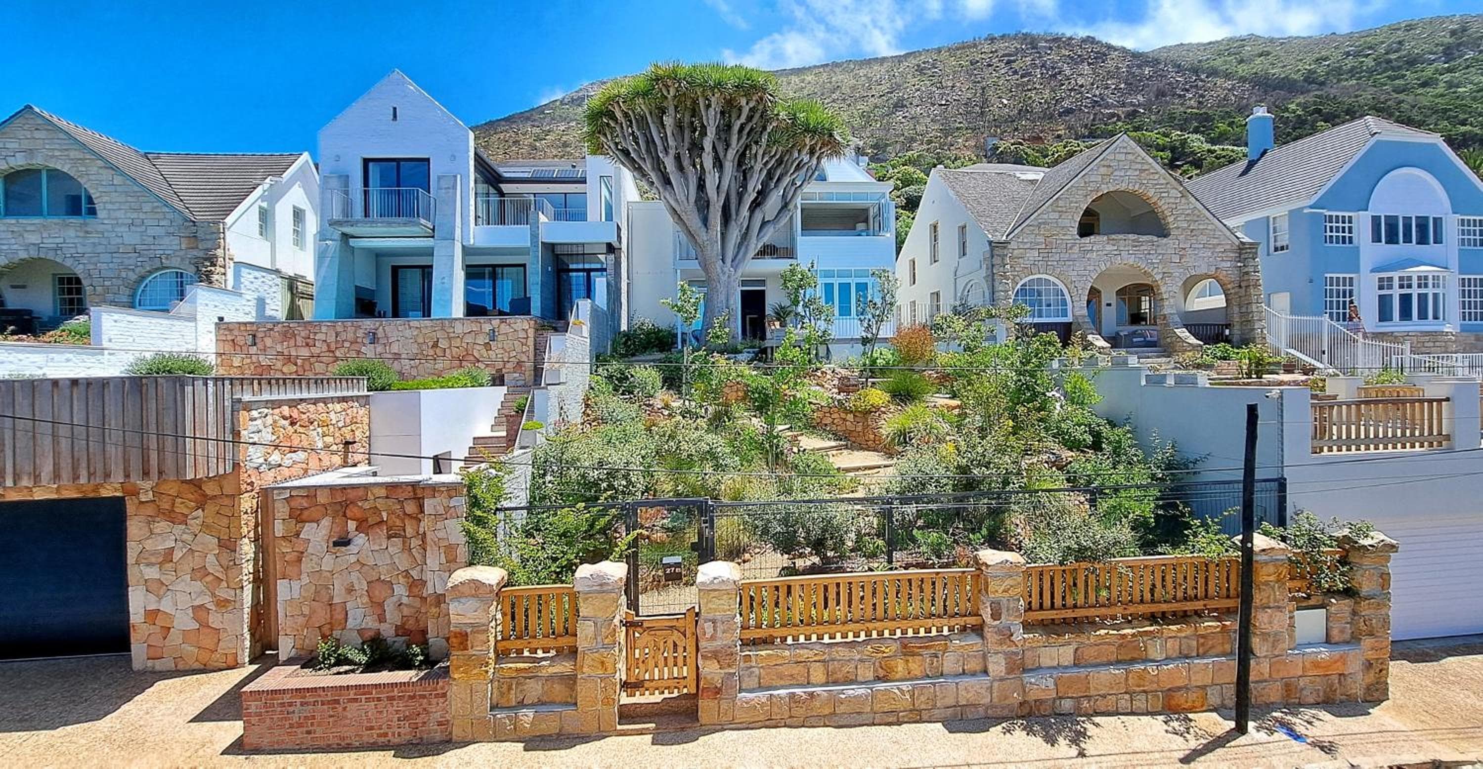 The Dragon Tree Guesthouse