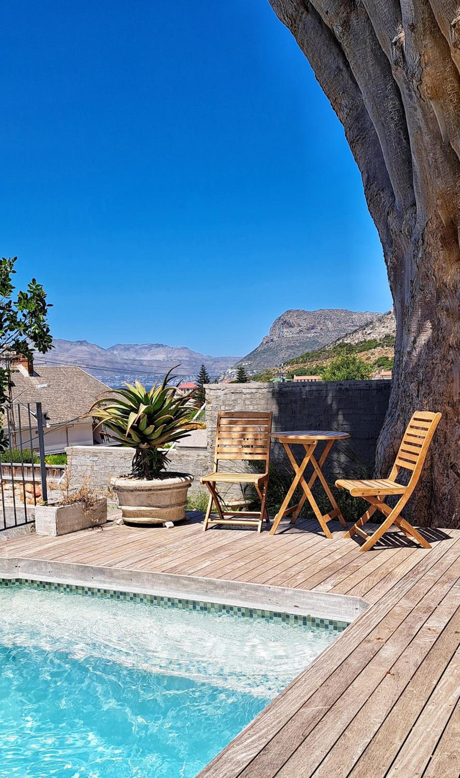 The Dragon Tree Guesthouse