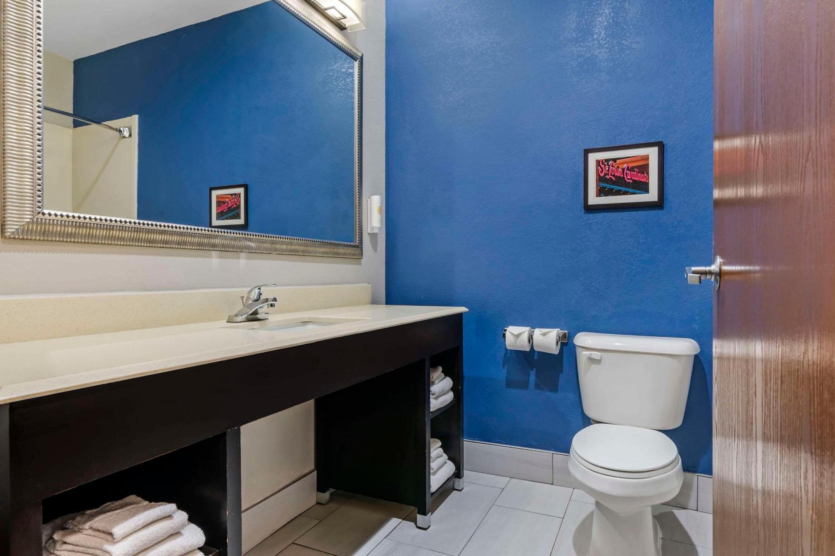 Comfort Suites St Charles-St Louis