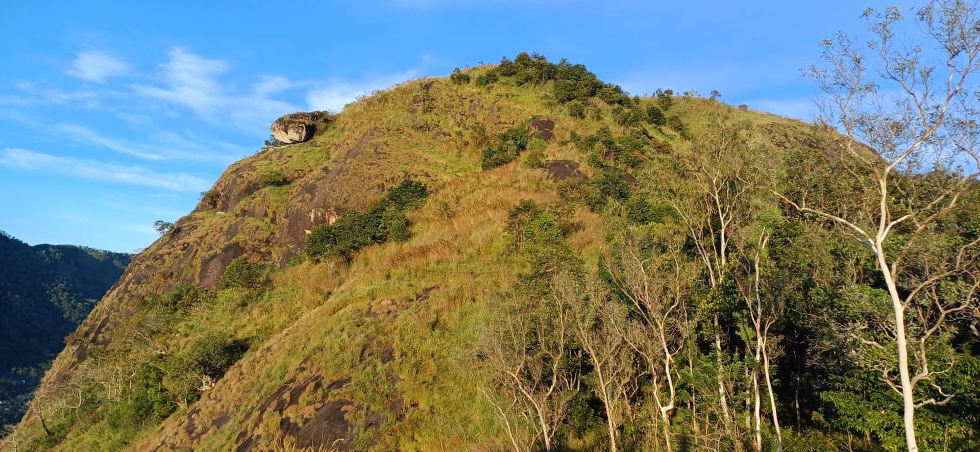 Munnar Green Home