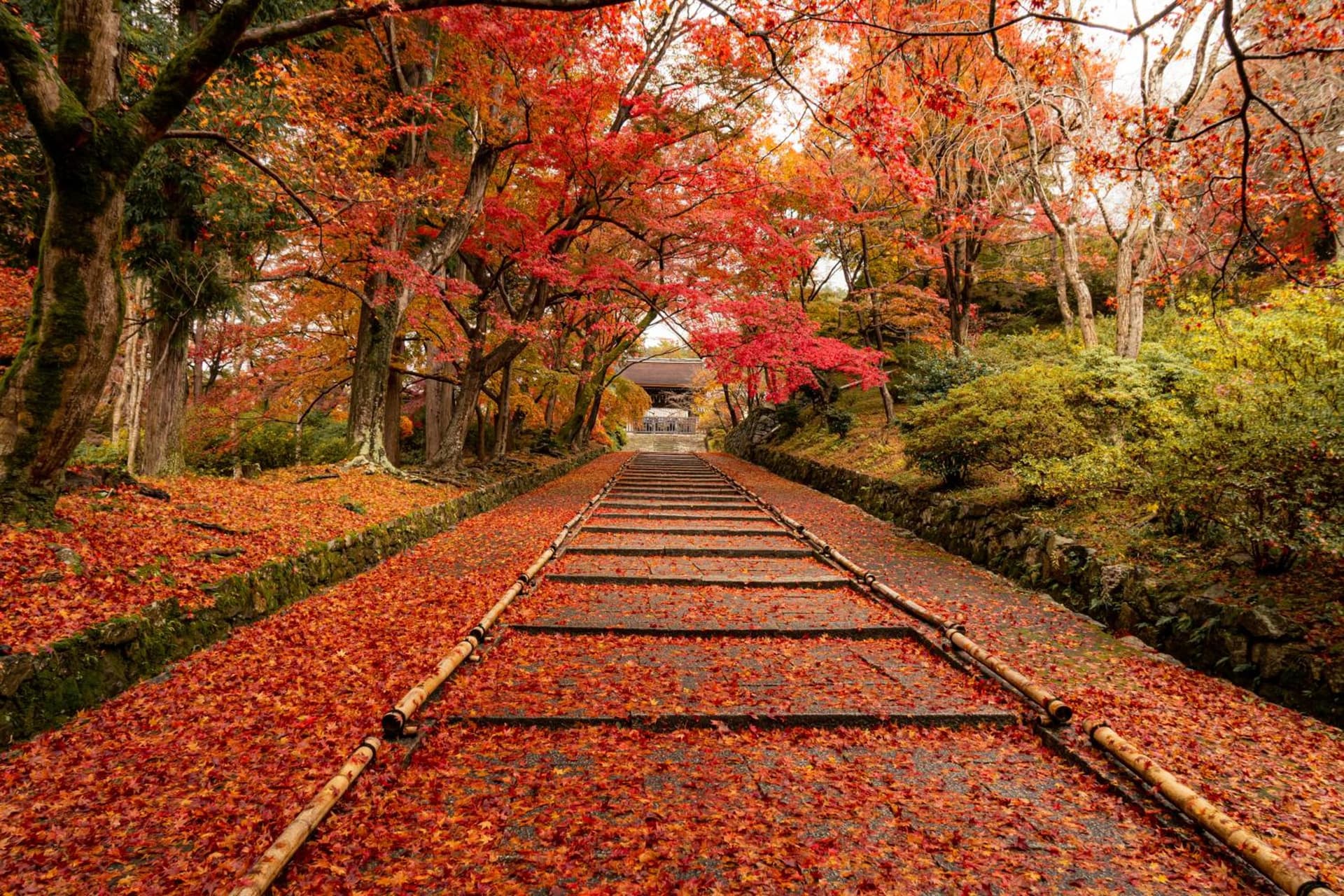 Four Points Flex by Sheraton Kyoto Oike