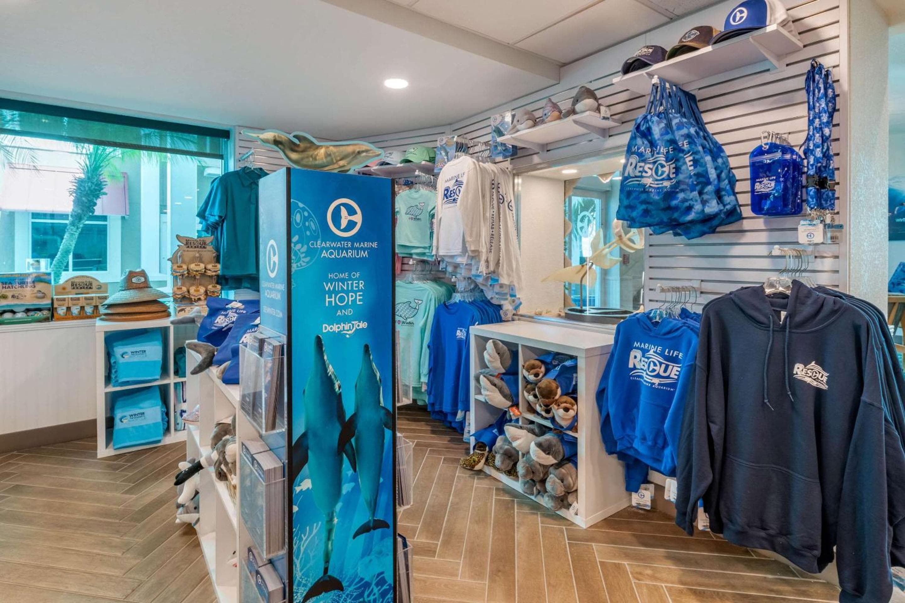 Dolphin Sands Clearwater Beach, an Ascend Collection Hotel