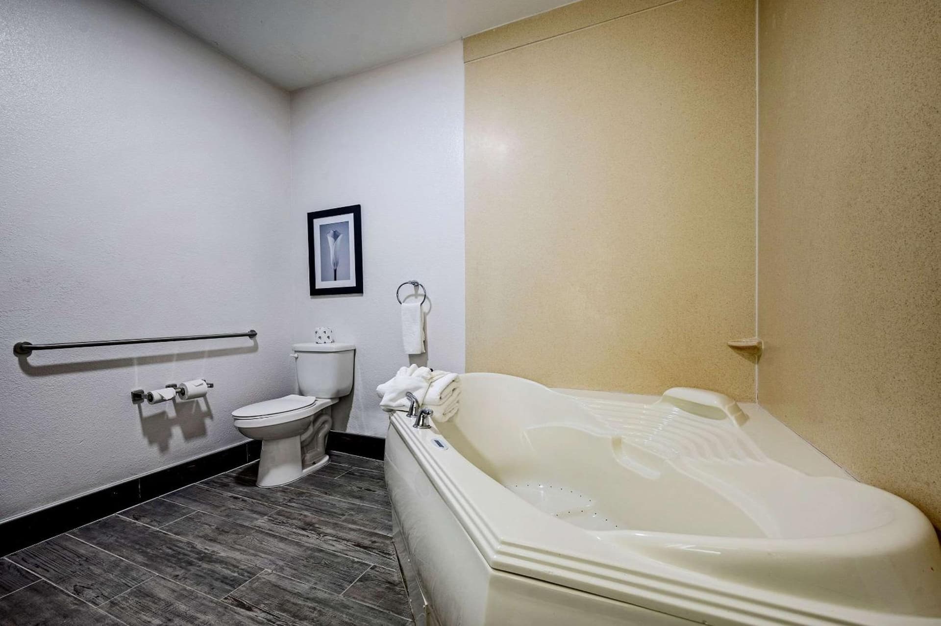 The Leo Collection Detroit, an Ascend Collection Hotel
