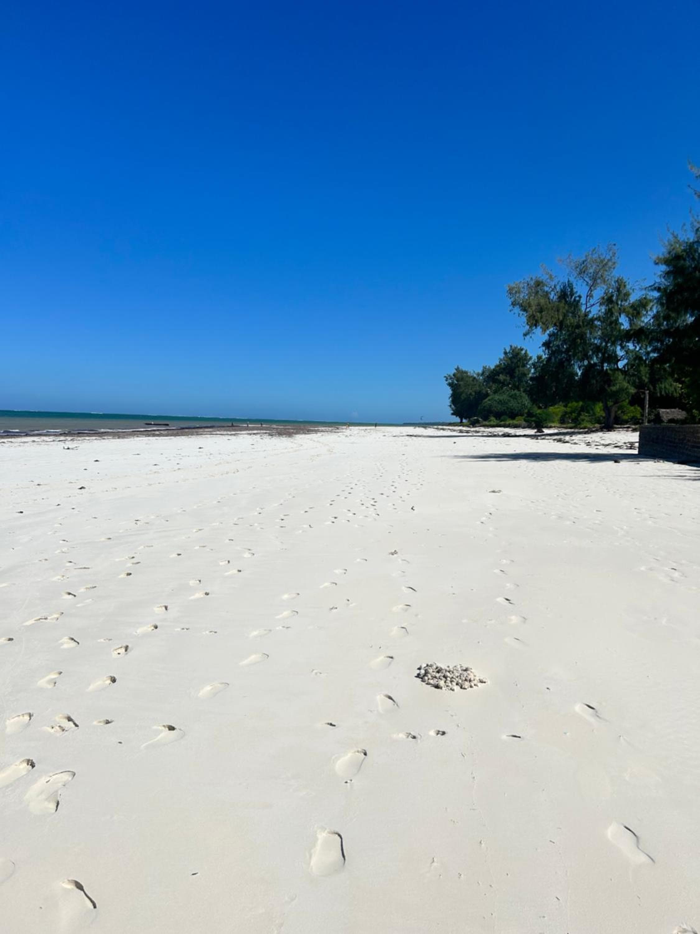 The SandCastle Apartment