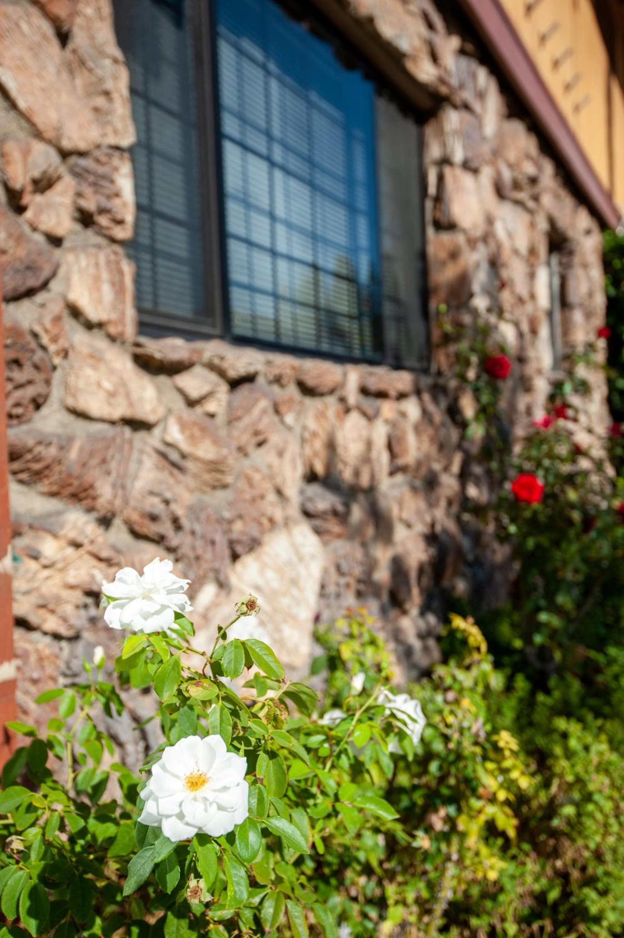 Studio City Court Yard Hotel