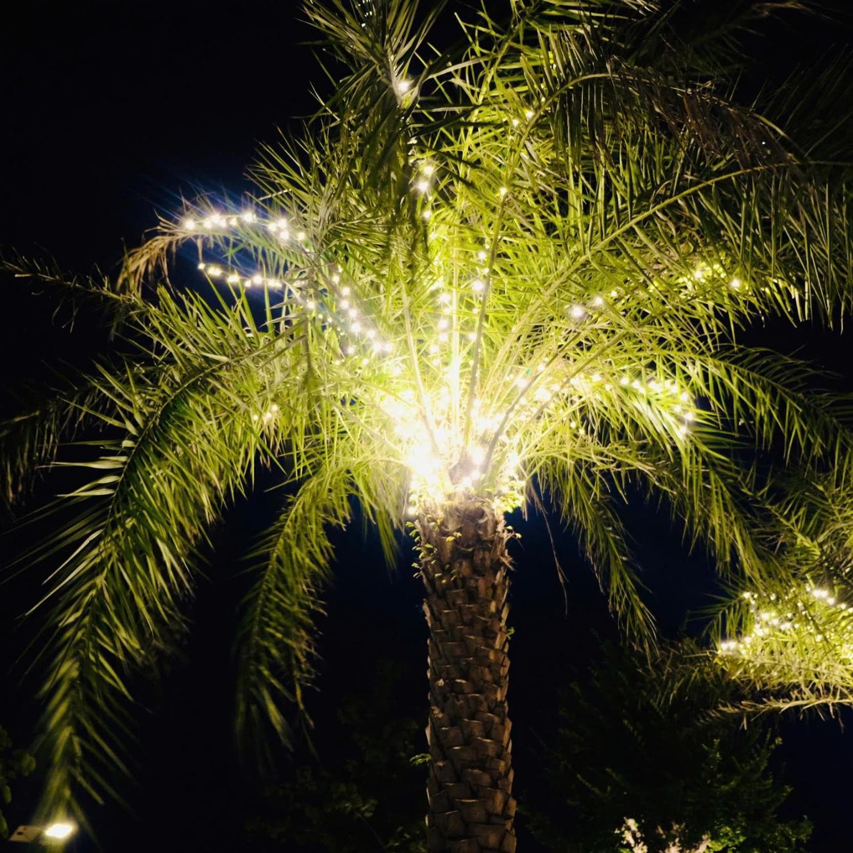 Thái Bình Cam Ranh 2 Hotel
