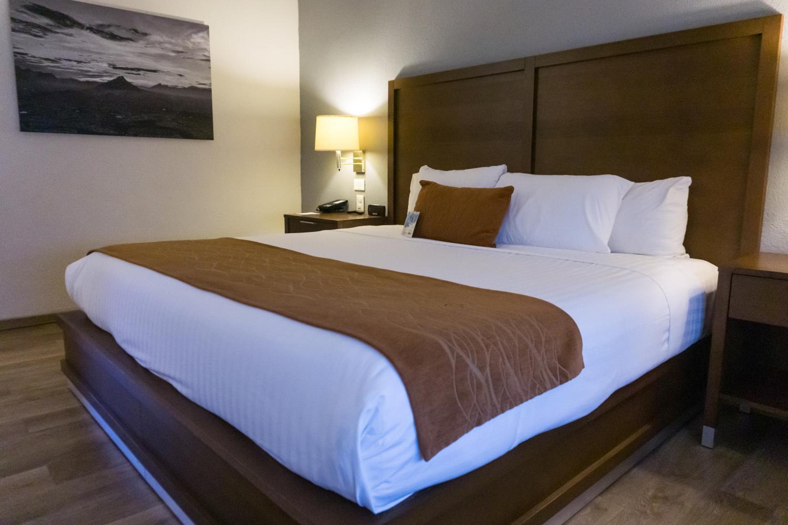 Comfort Inn Monterrey Valle