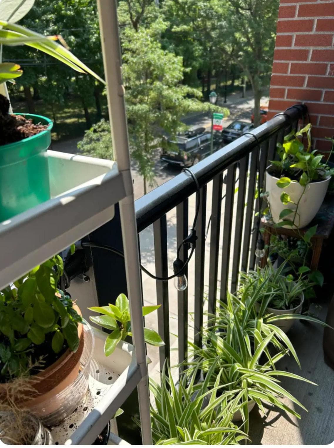 Studio Sublet in Little Italy
