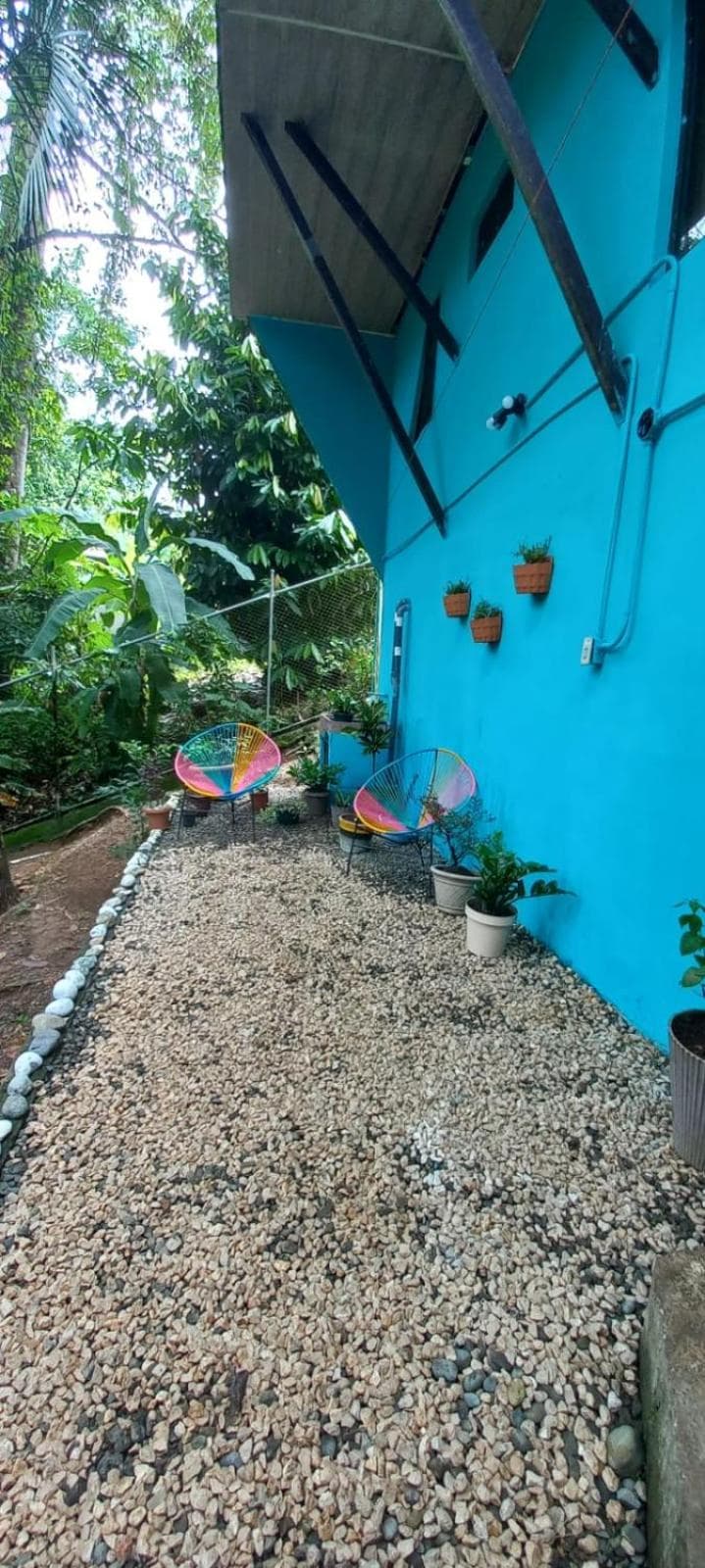 House of the Little Monkeys