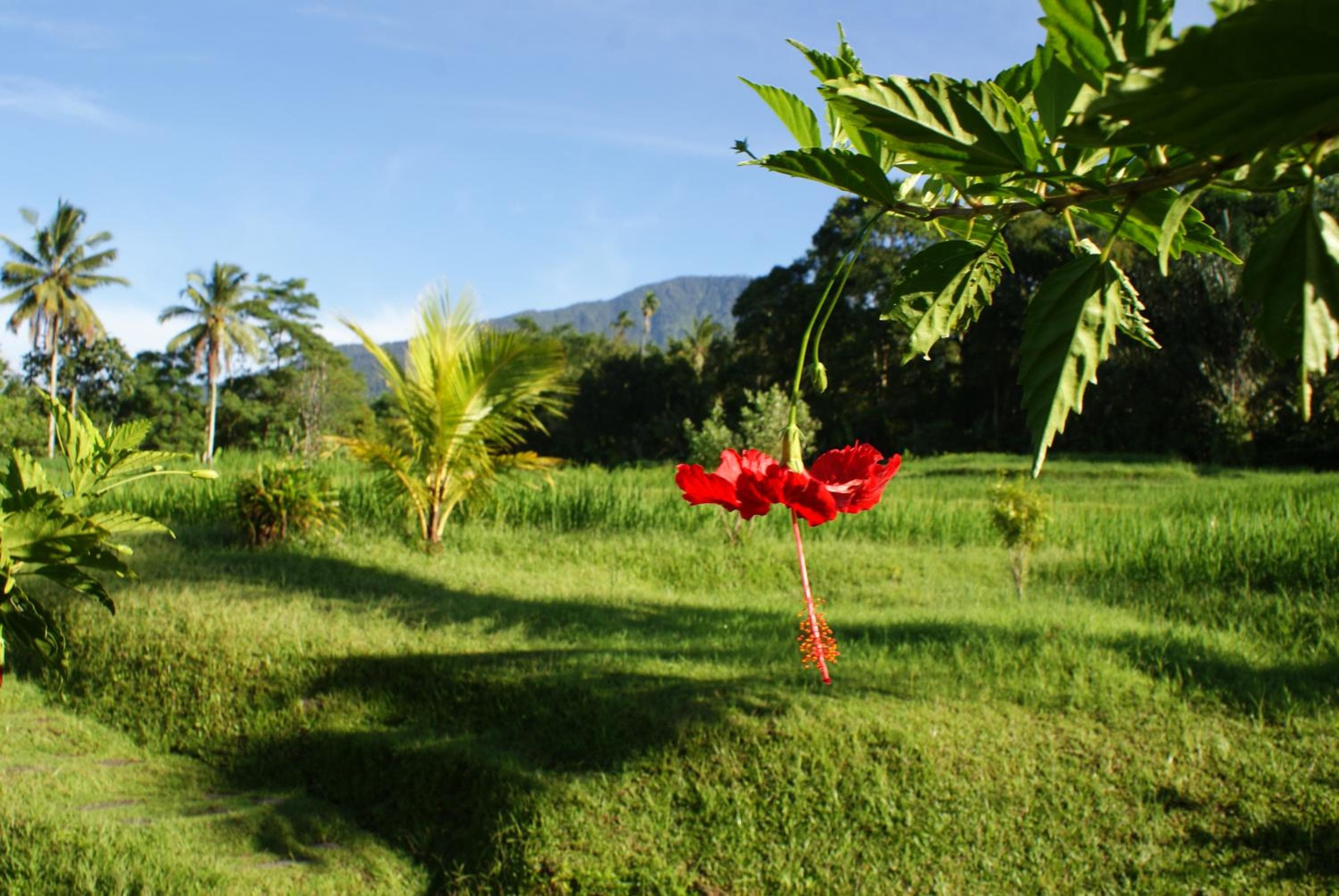 Prana Dewi Mountain Resort
