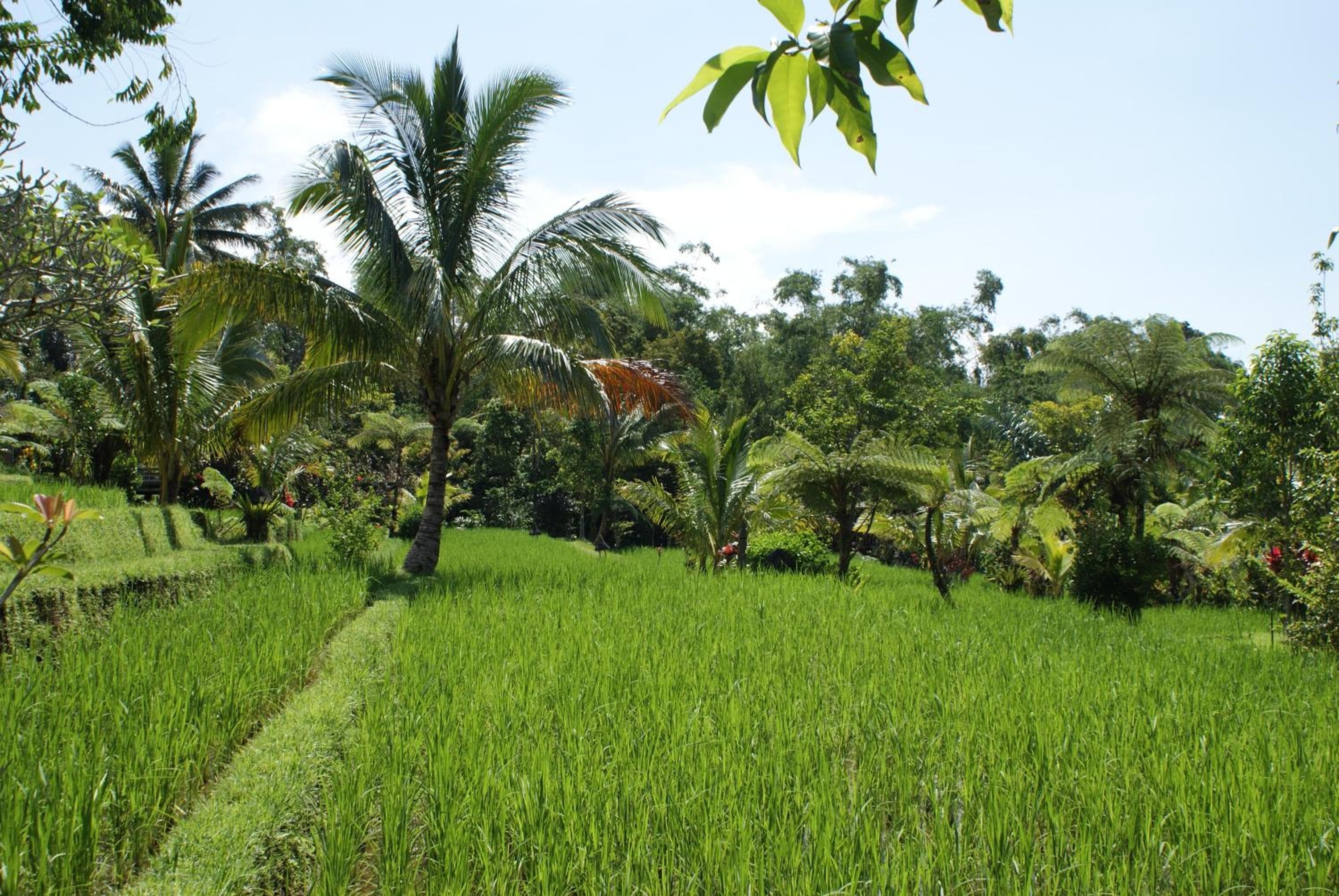 Prana Dewi Mountain Resort