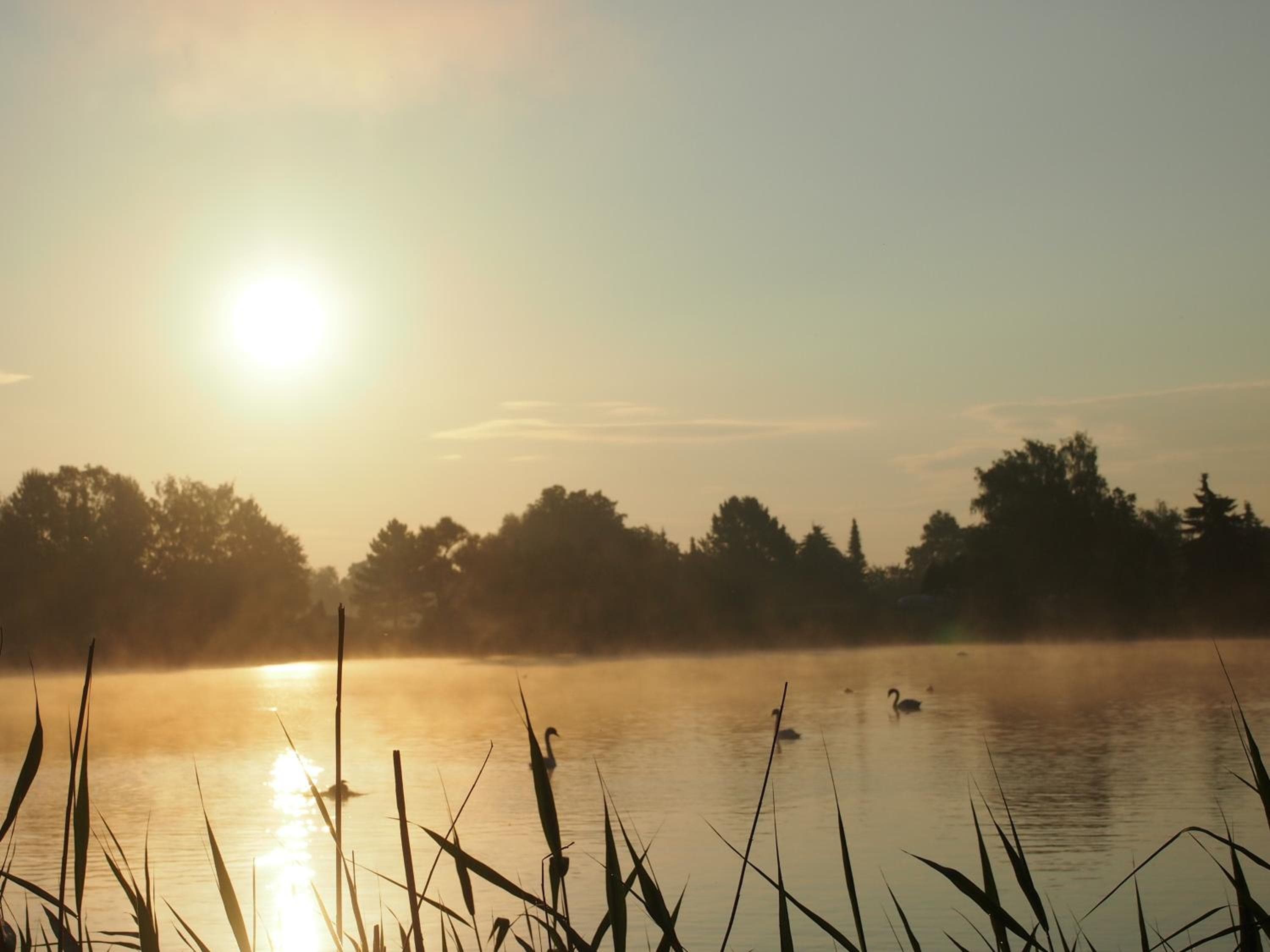 Ferienwohnungen am Schwanenteich