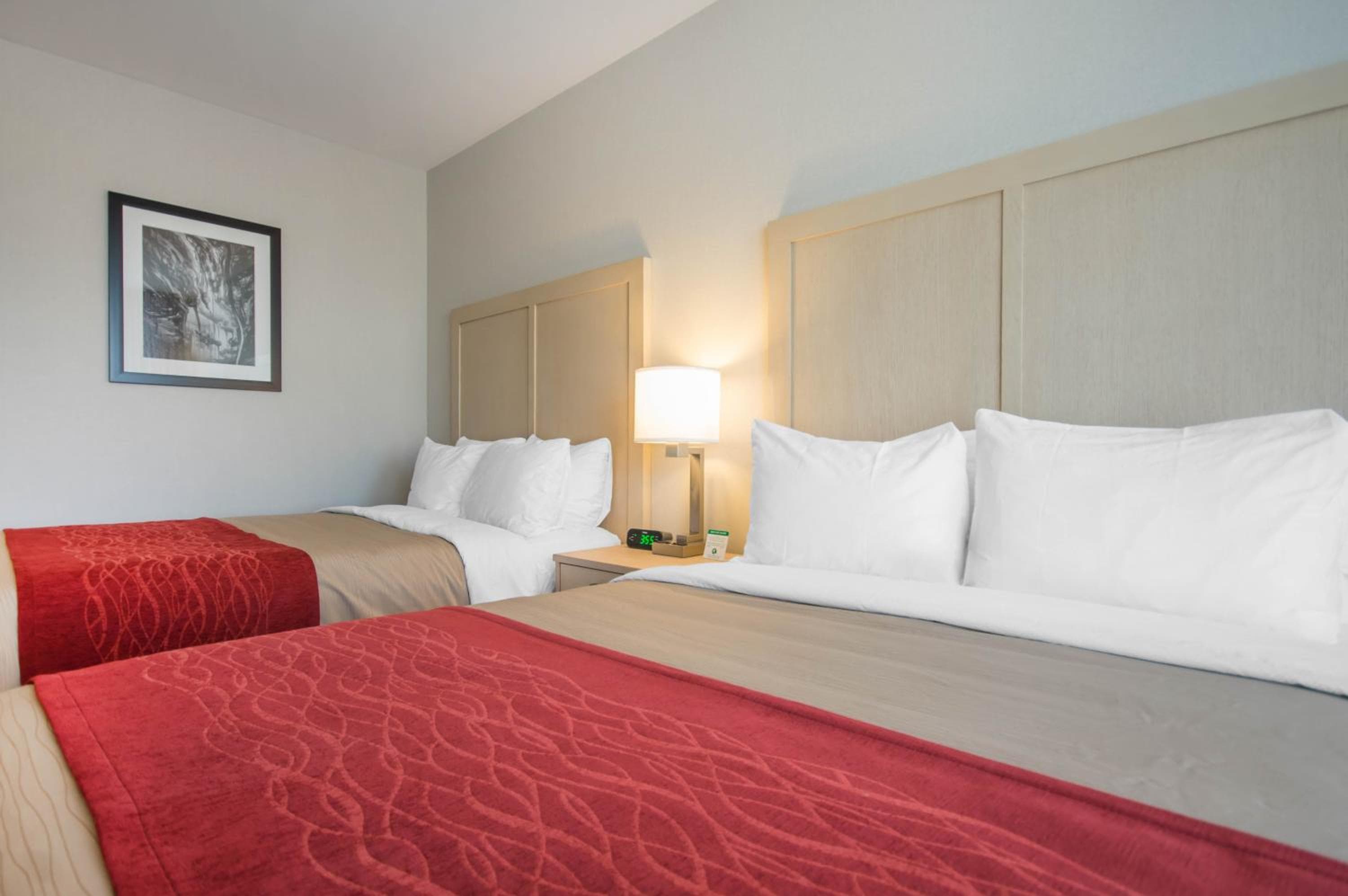Comfort Inn & Suites
