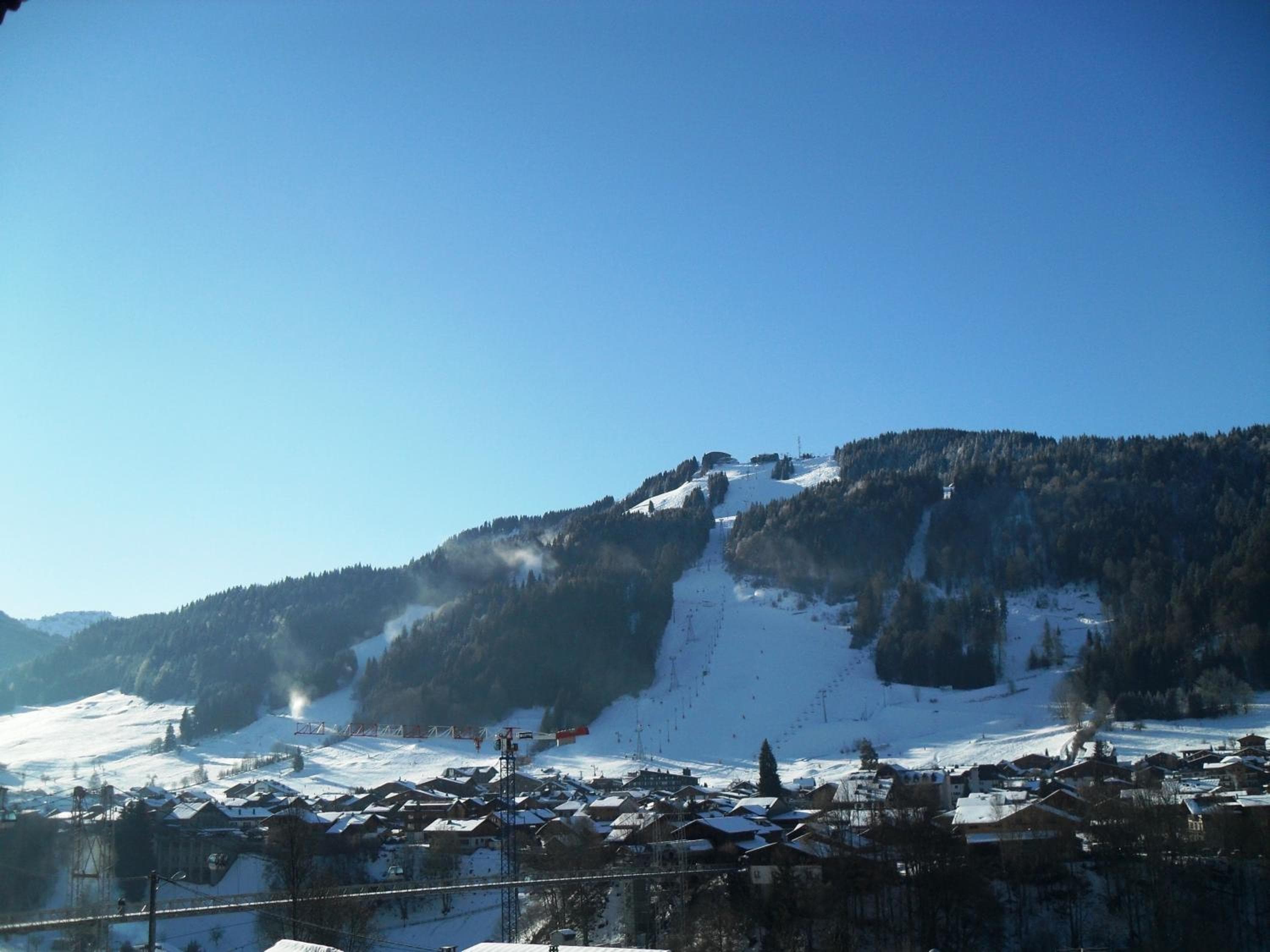 Hotel Alpina