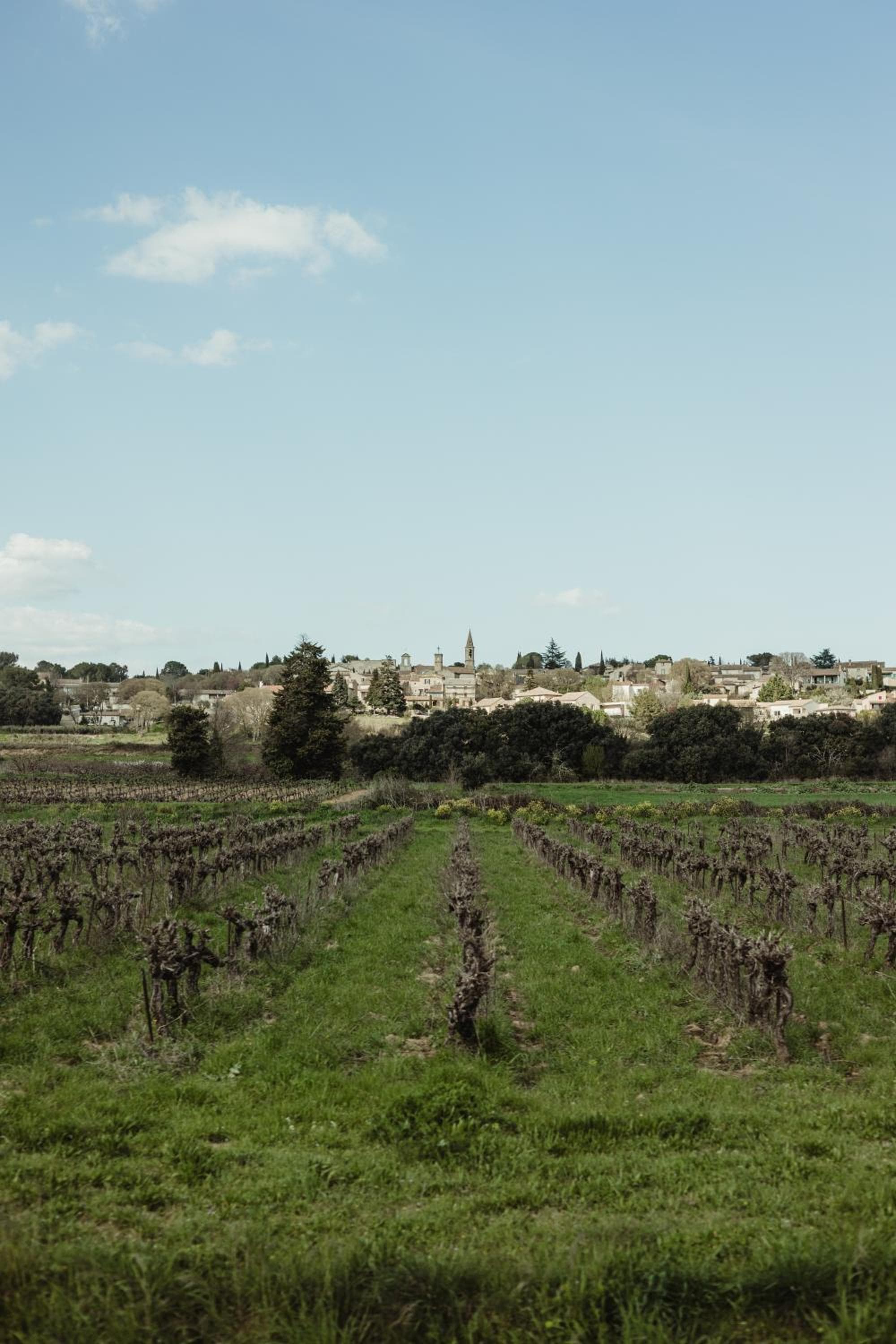 L'Oustal Di Fabre - Villa avec piscine à Vers-Pont-du-Gard