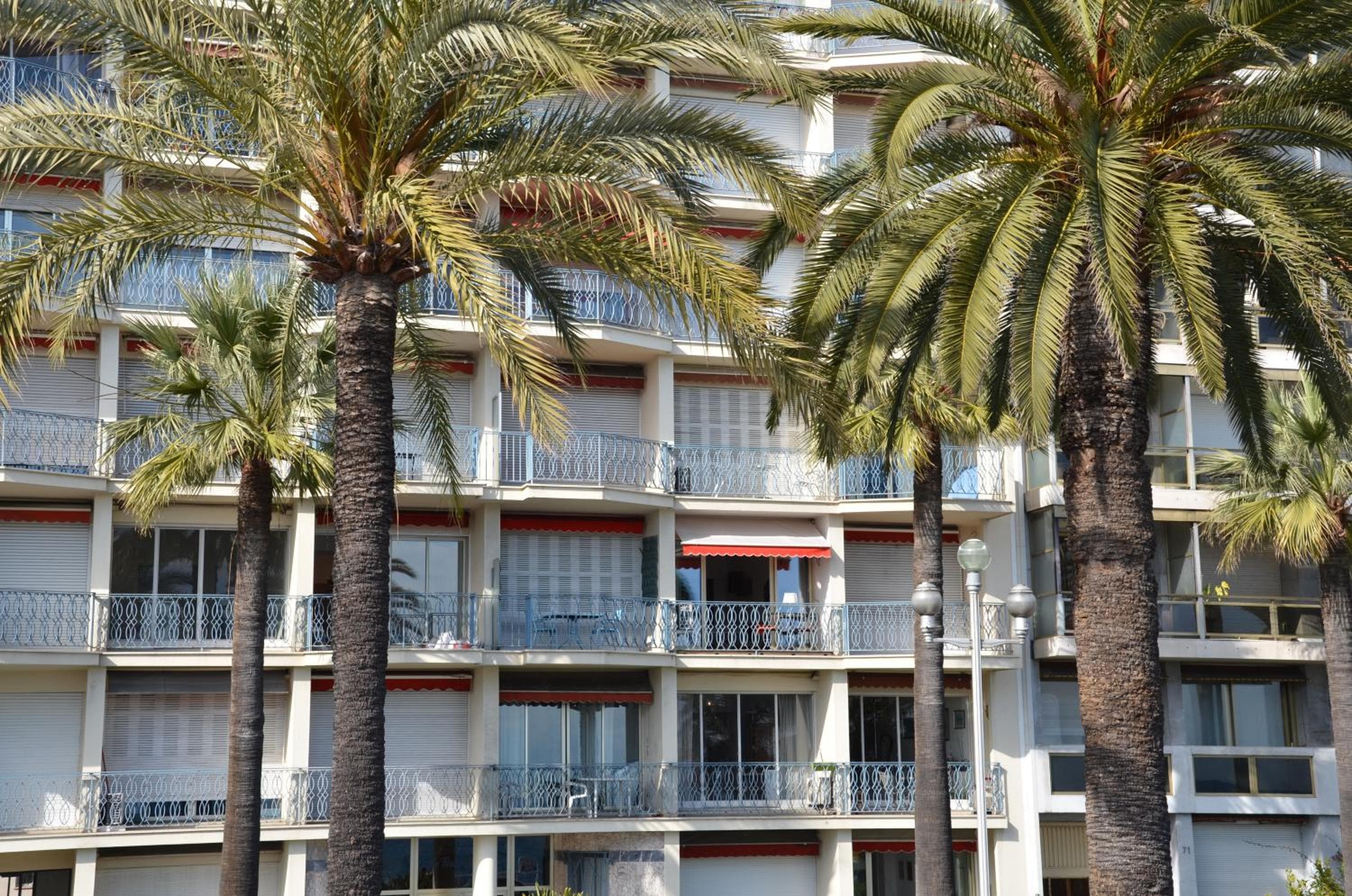 Le Grand Sud