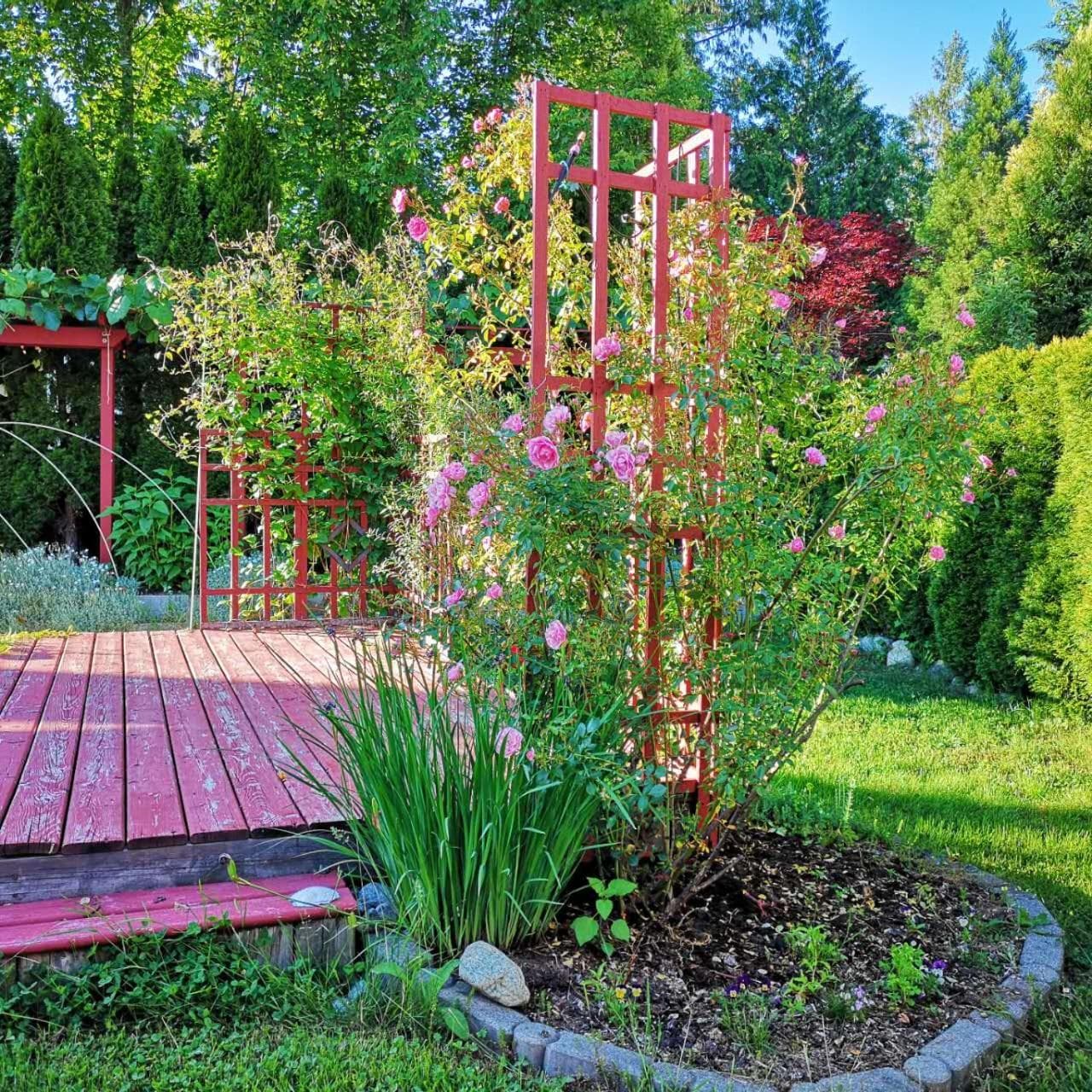 Meadowridge Haven