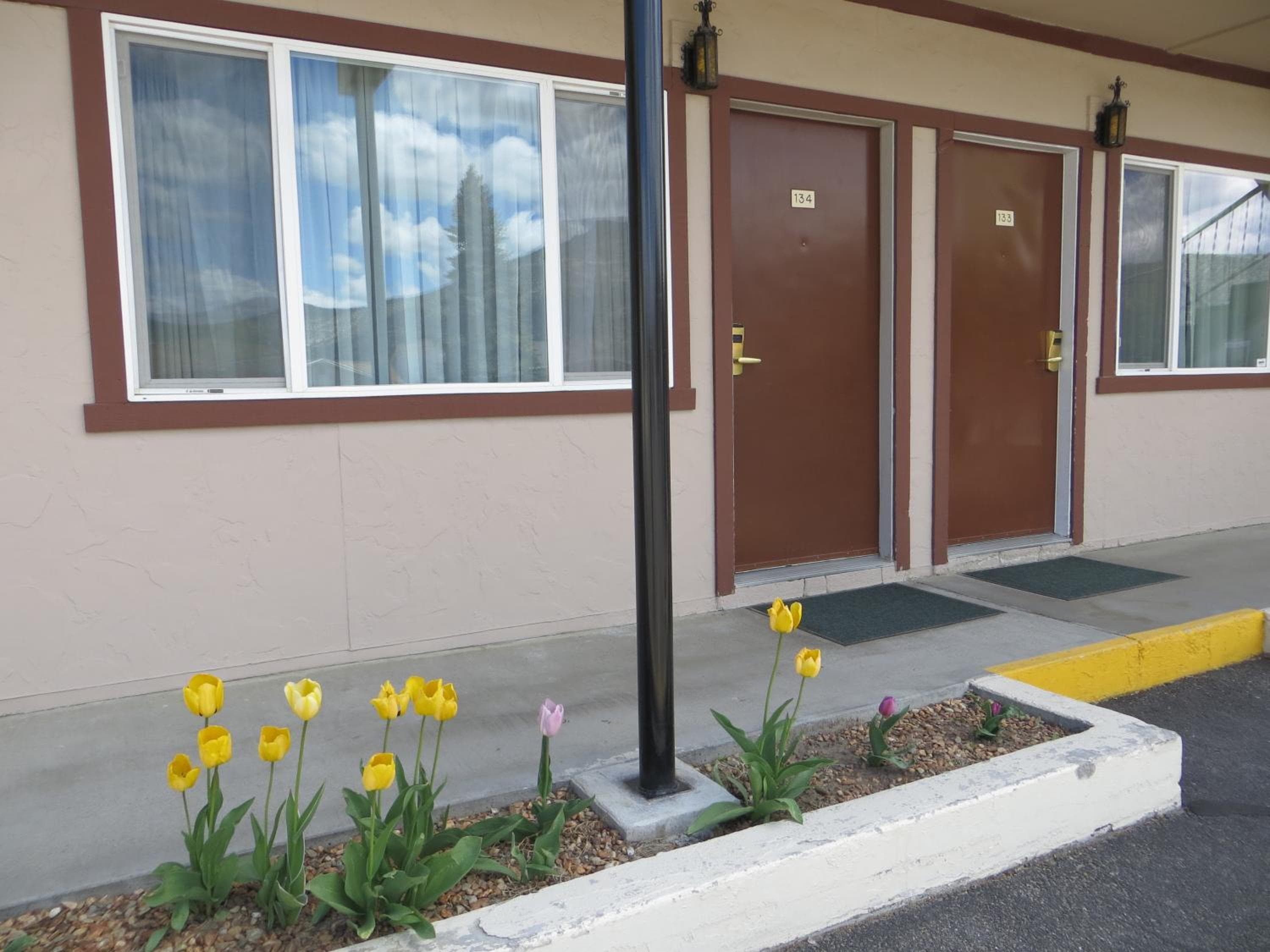 Bristlecone Motel