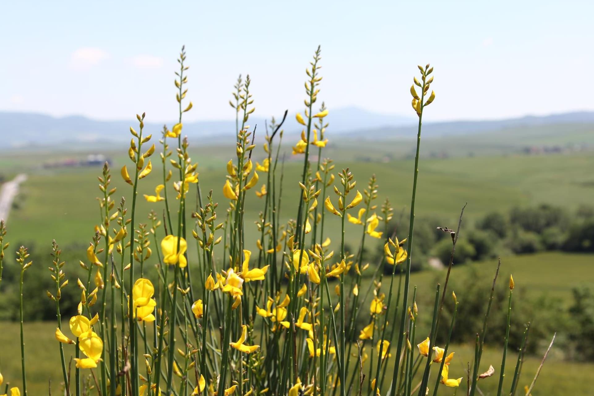 La Terrazza sulla Val d'Orcia