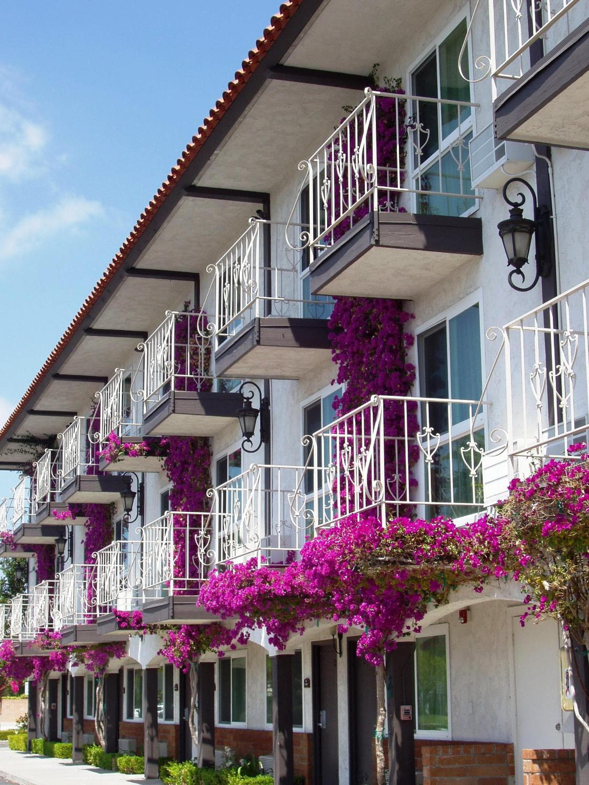 Laguna Hills Lodge-Irvine Spectrum