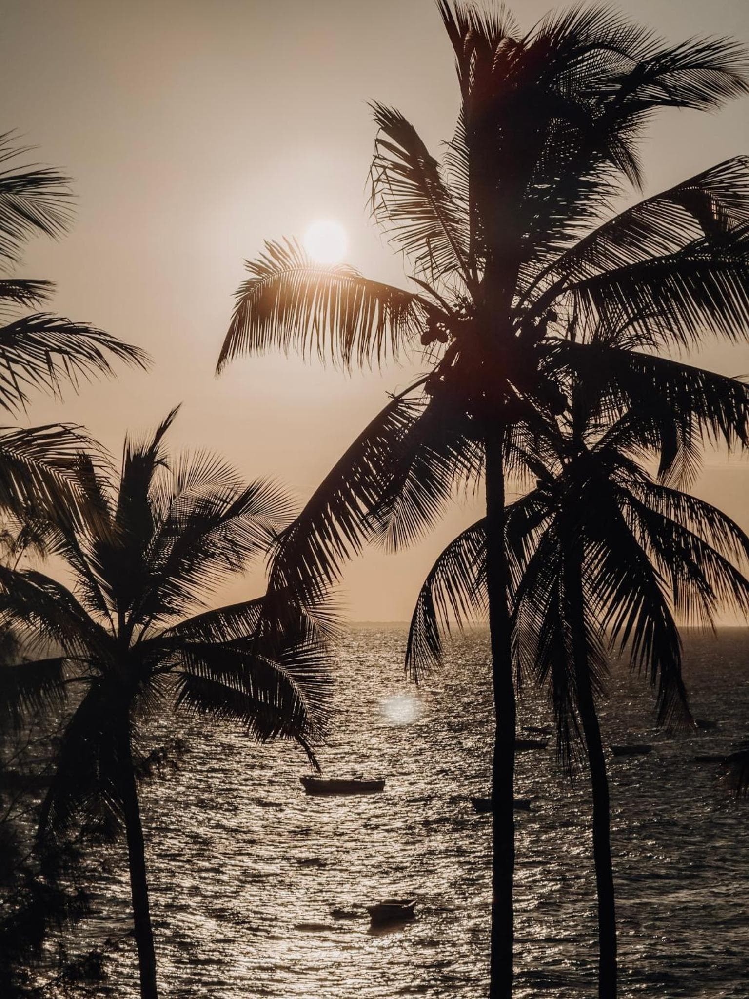 Johari Beach Resort, Kizimkazi Zanzibar