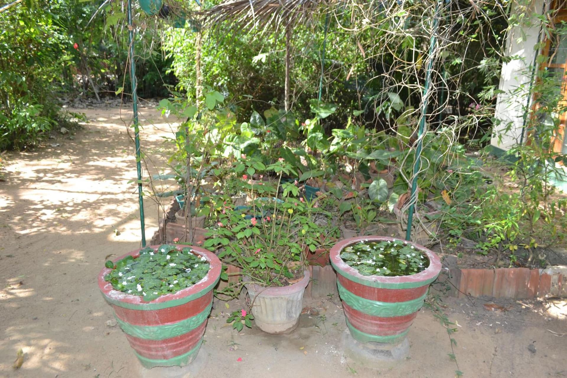 Sigiriya Freedom Lodge