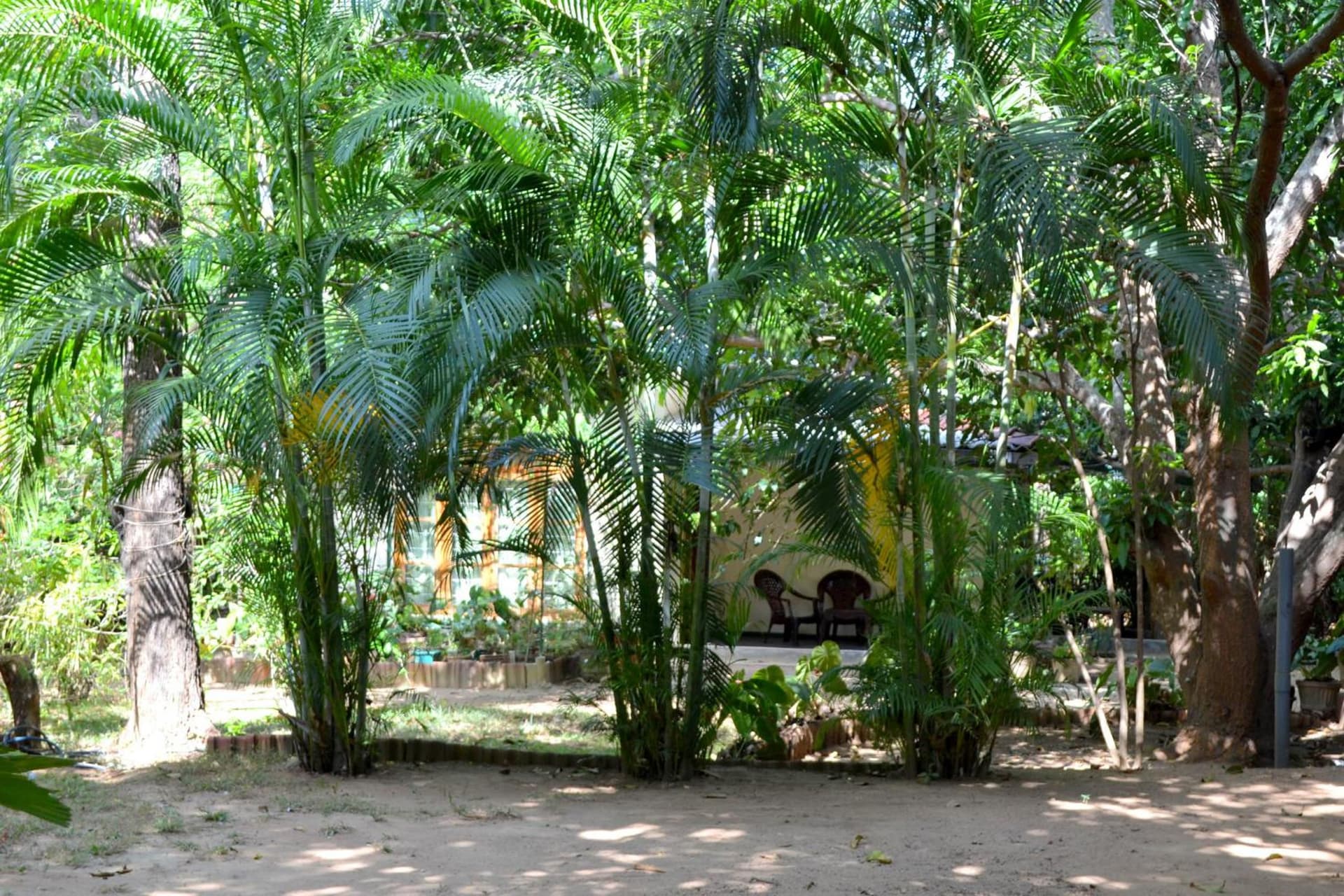 Sigiriya Freedom Lodge