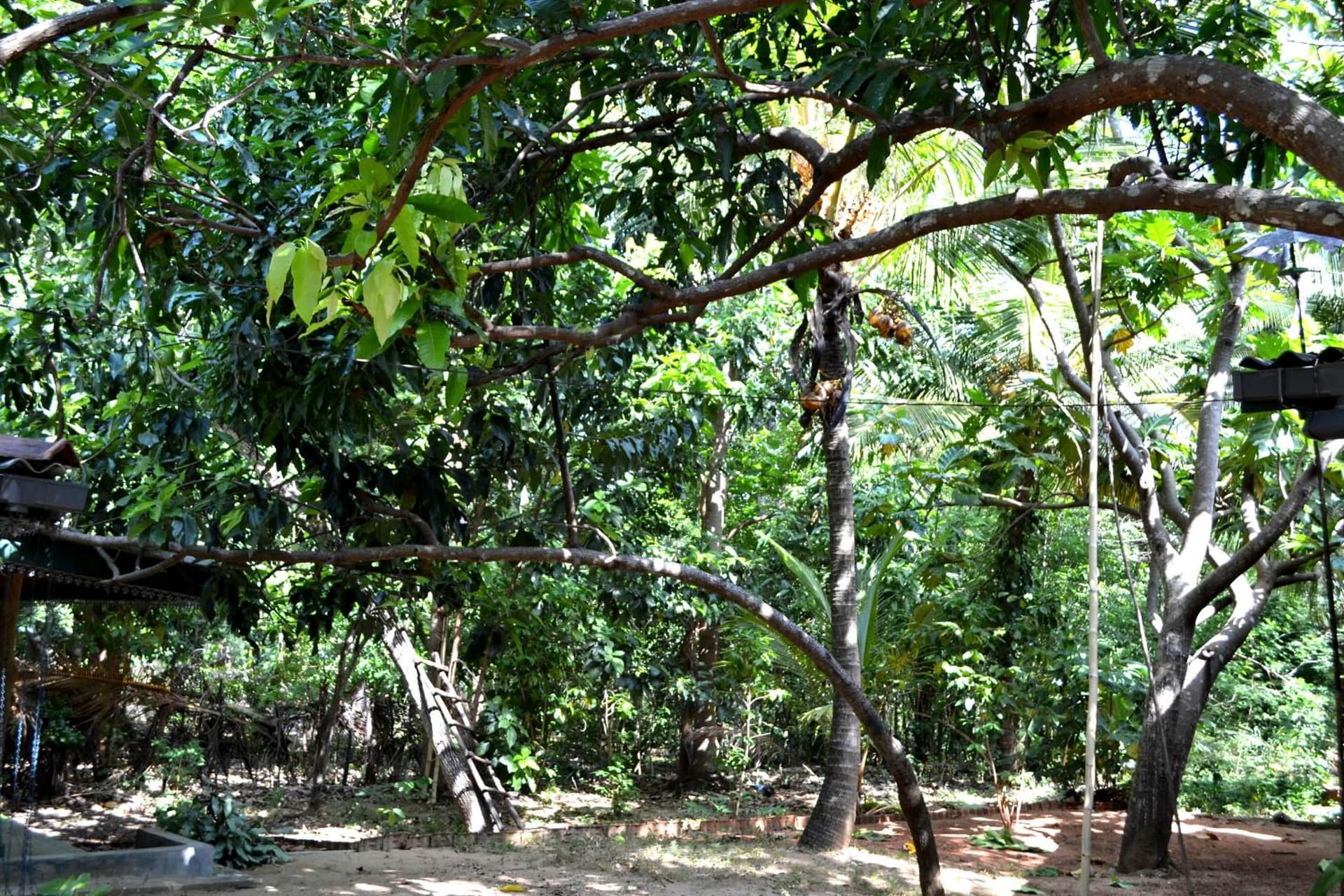 Sigiriya Freedom Lodge