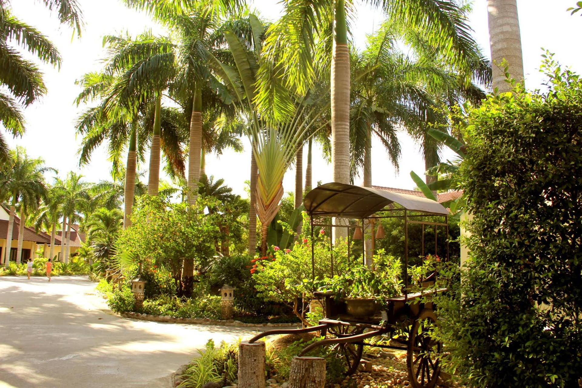 Diamond Bay Resort & Spa