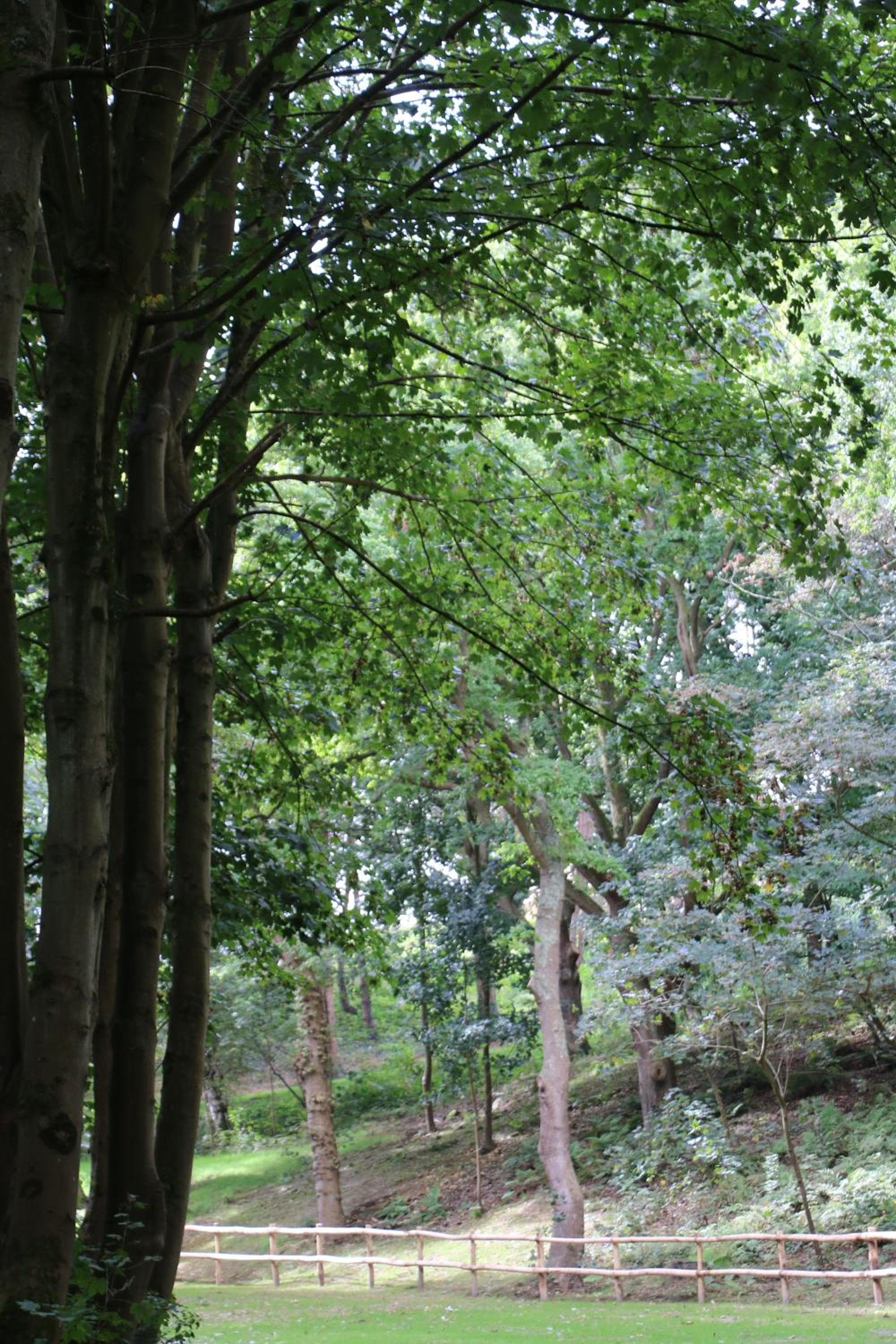 Auberge Bout de Bois