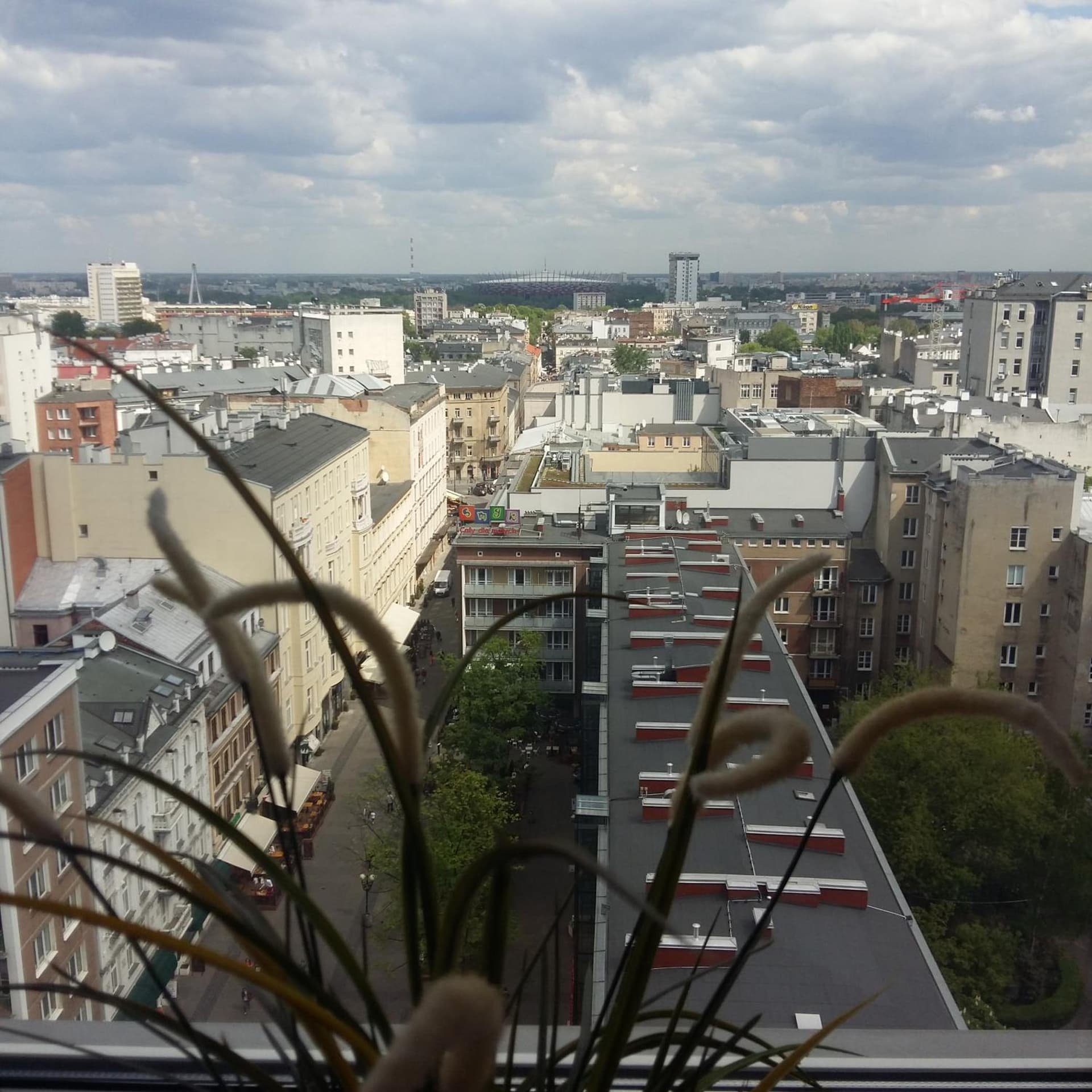 Alma Apartments
