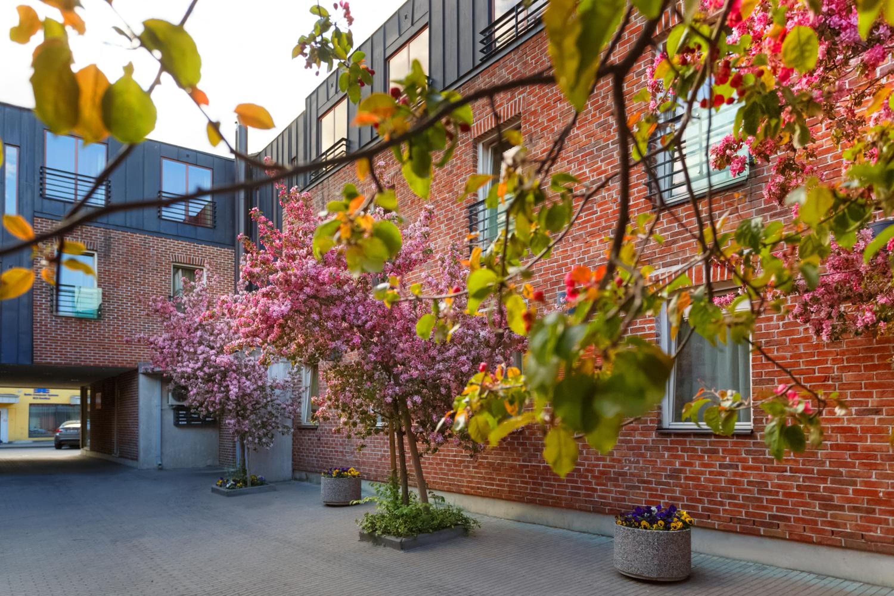 Hotel Bern by Rikas Hotels