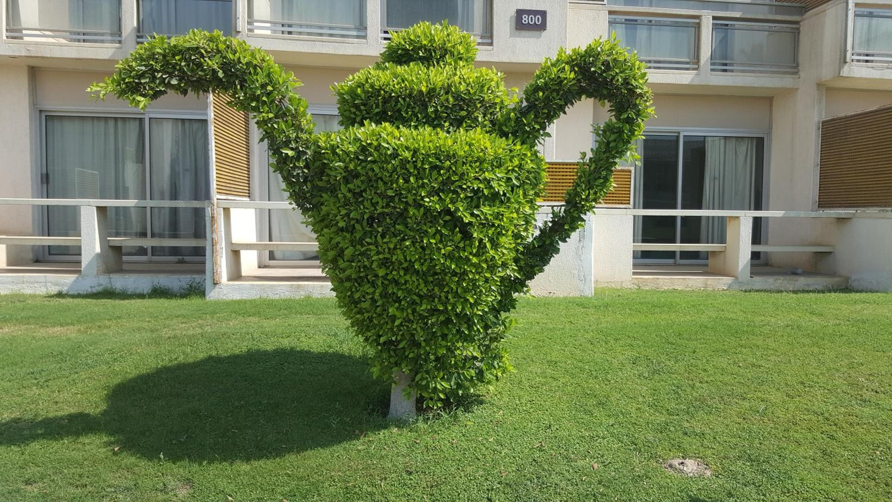Pyramids Park Resort Cairo