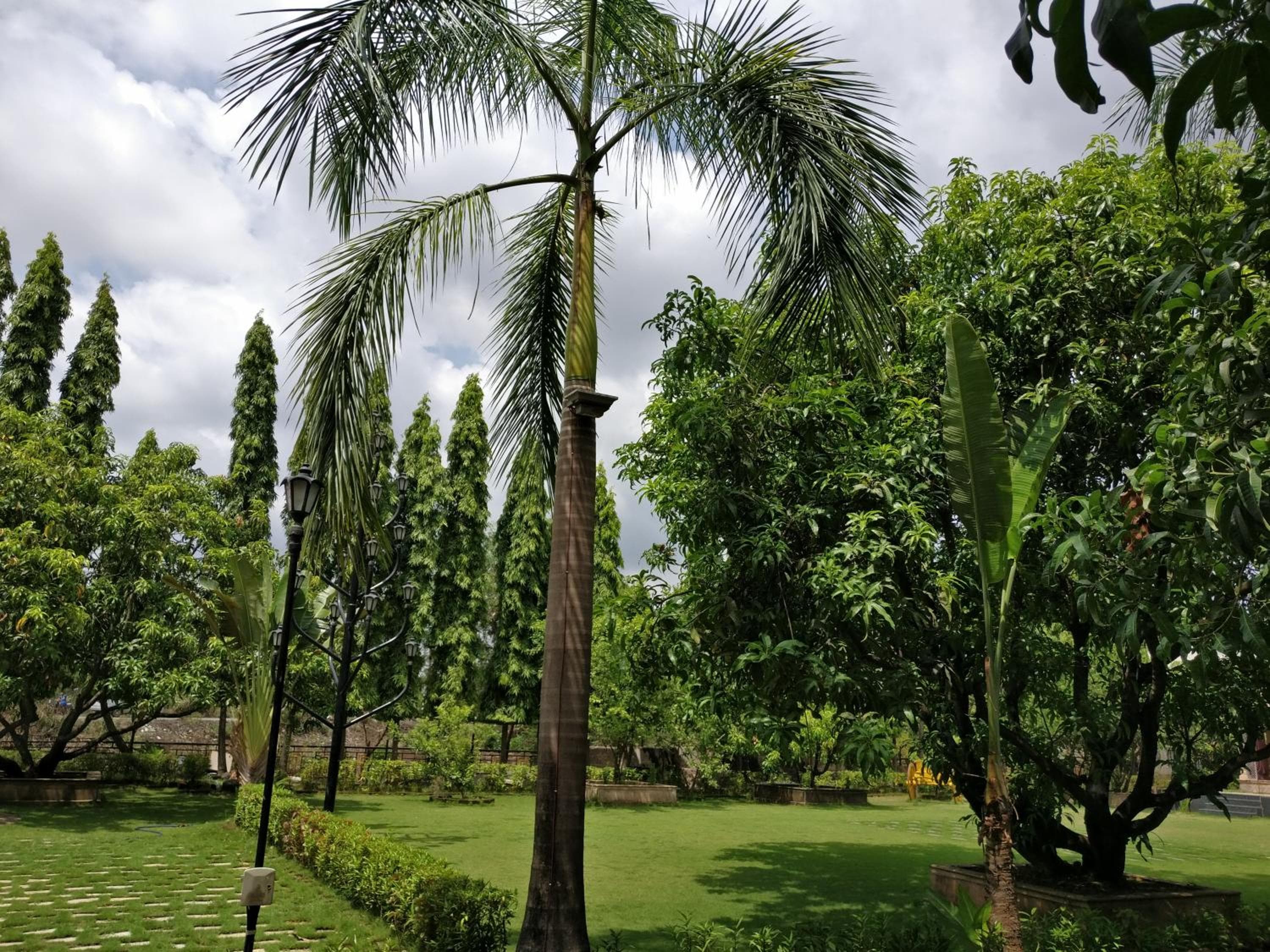 Pushp Vatika Resort & Lawns