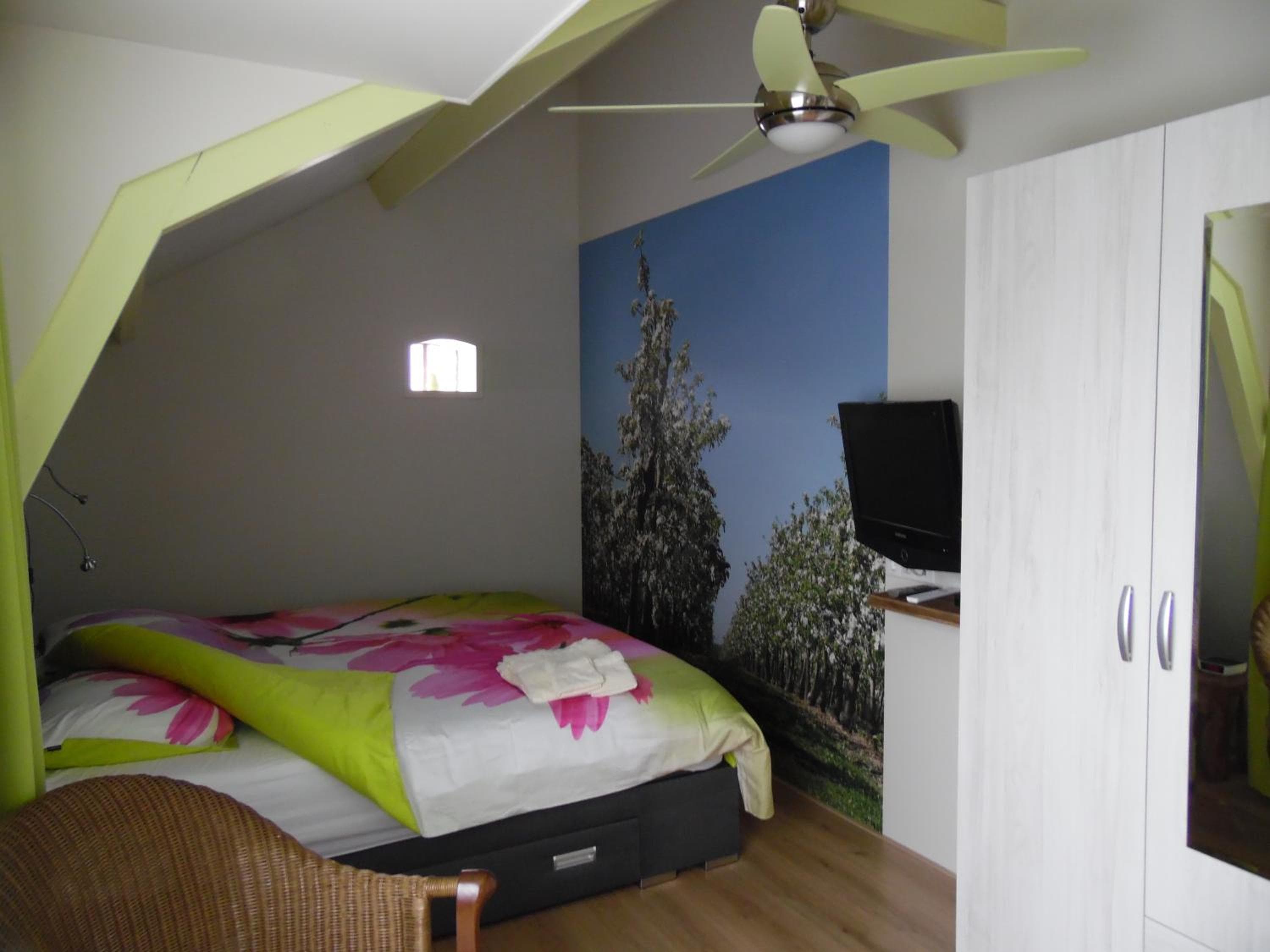 Cozy Elst