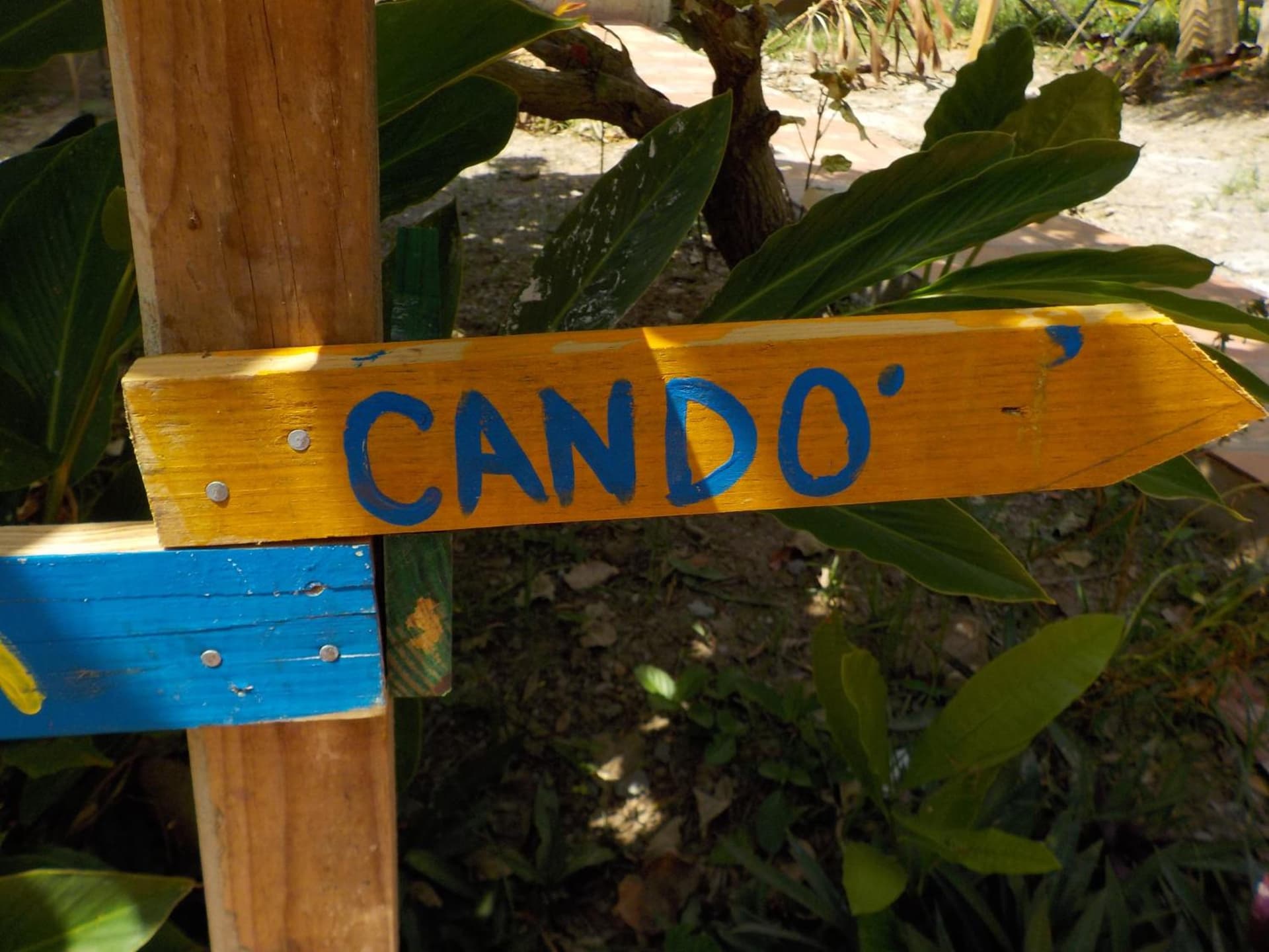 Roatan Backpackers' Hostel