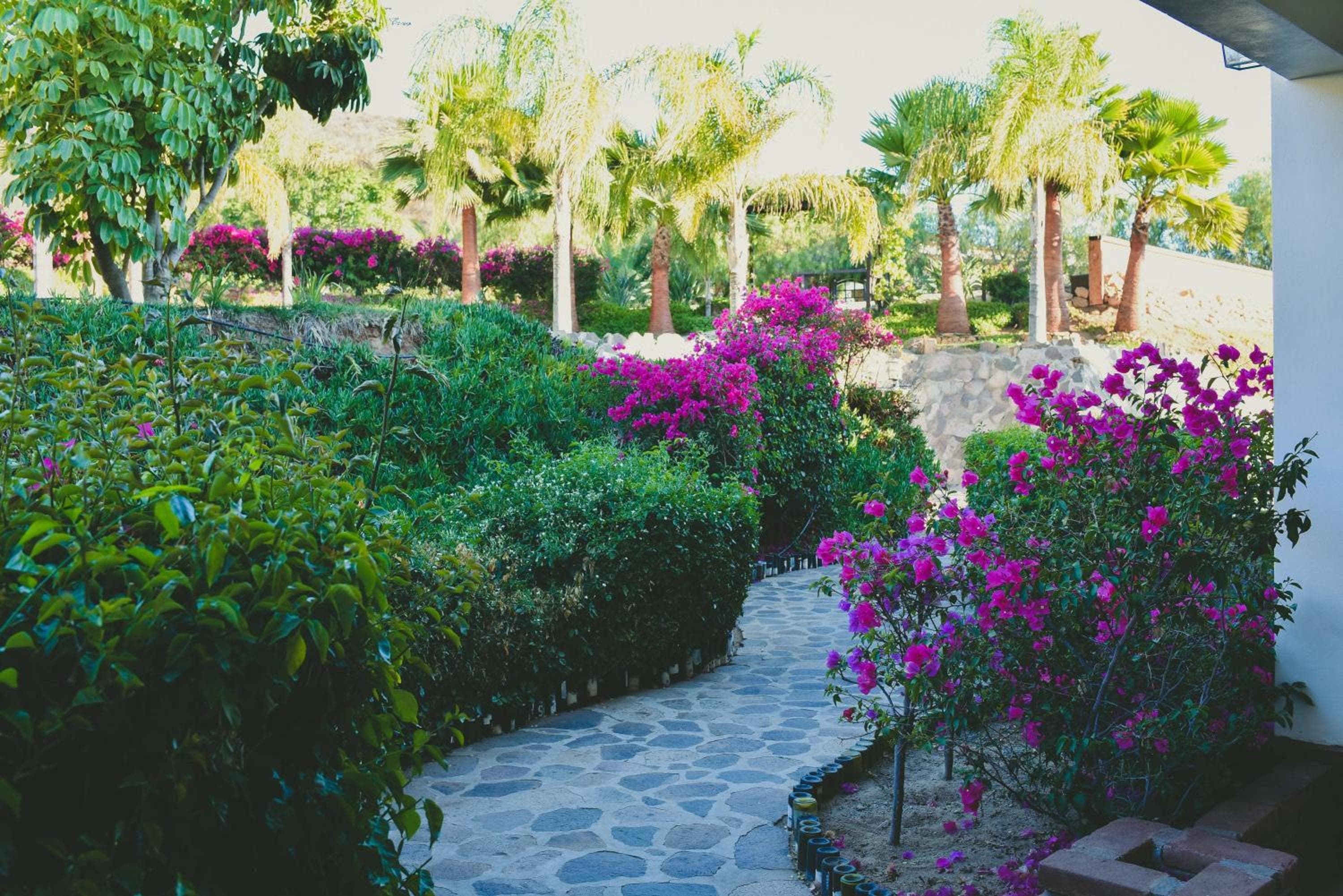 Hacienda Guadalupe Hotel