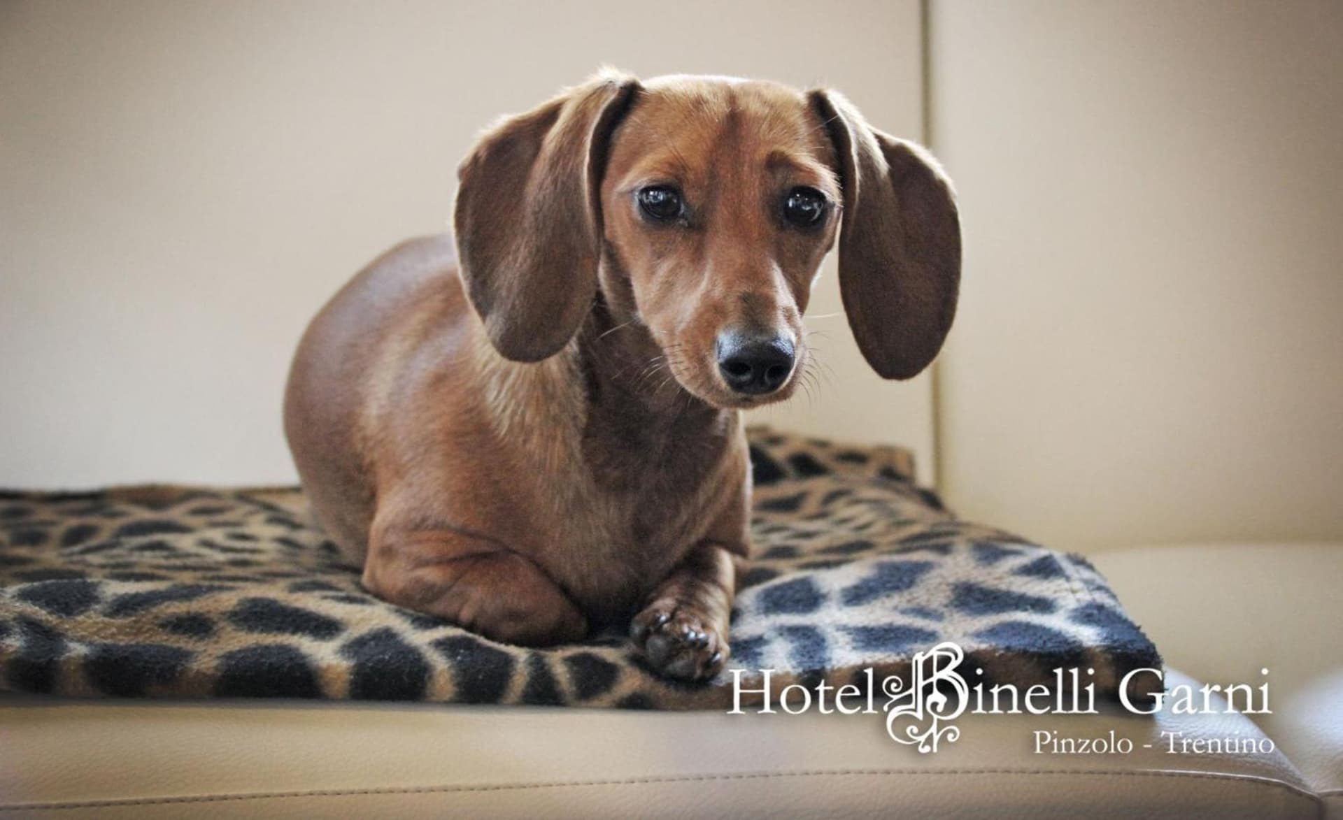 Hotel Binelli