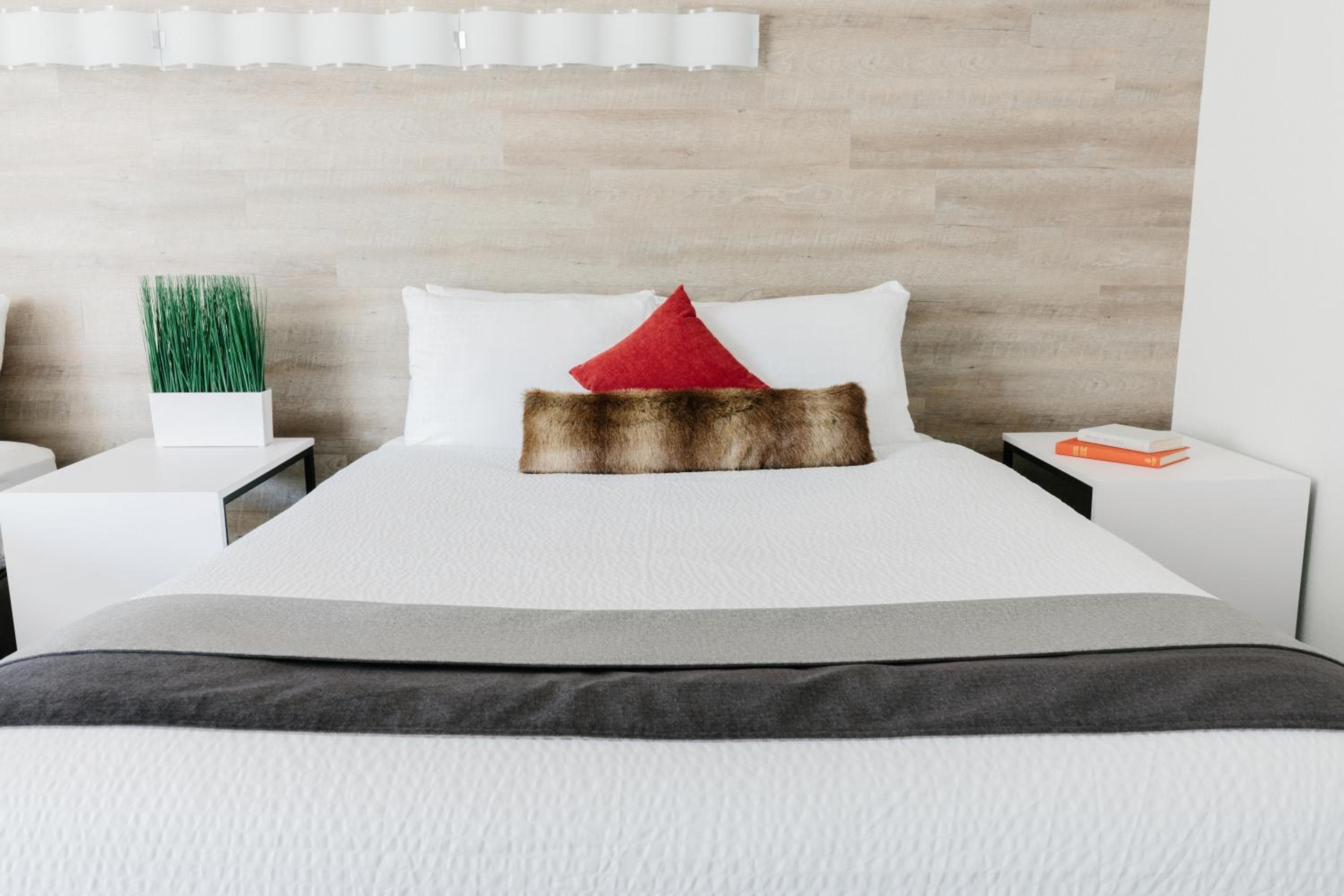 Elk + Avenue Hotel