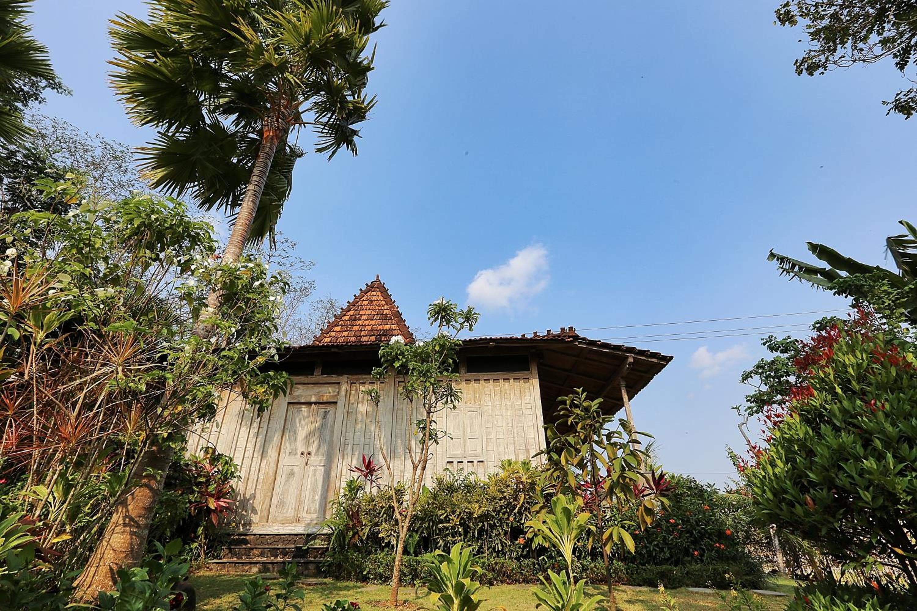 The Sanyas Retreat