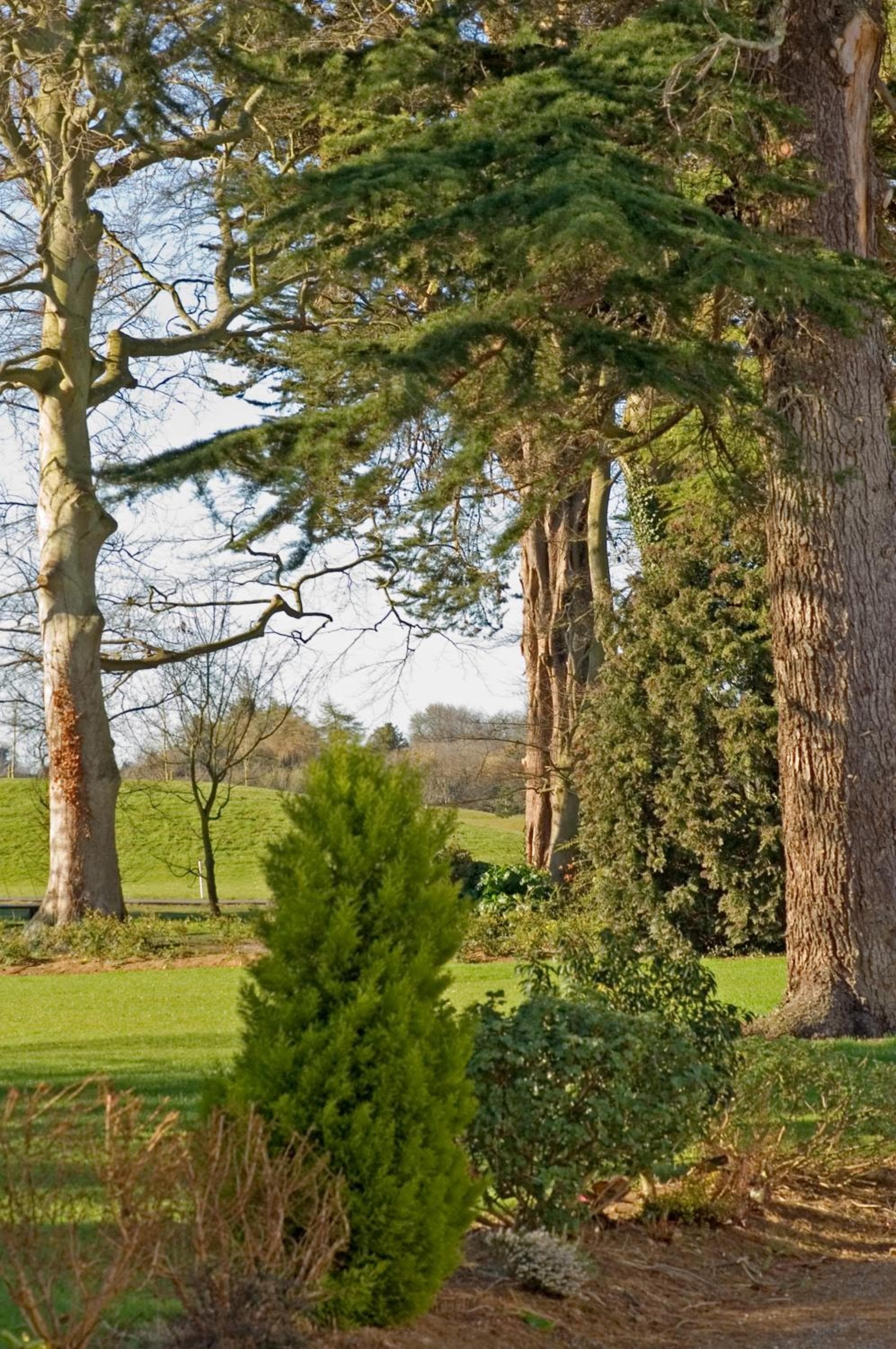 Roganstown Hotel & Country Club