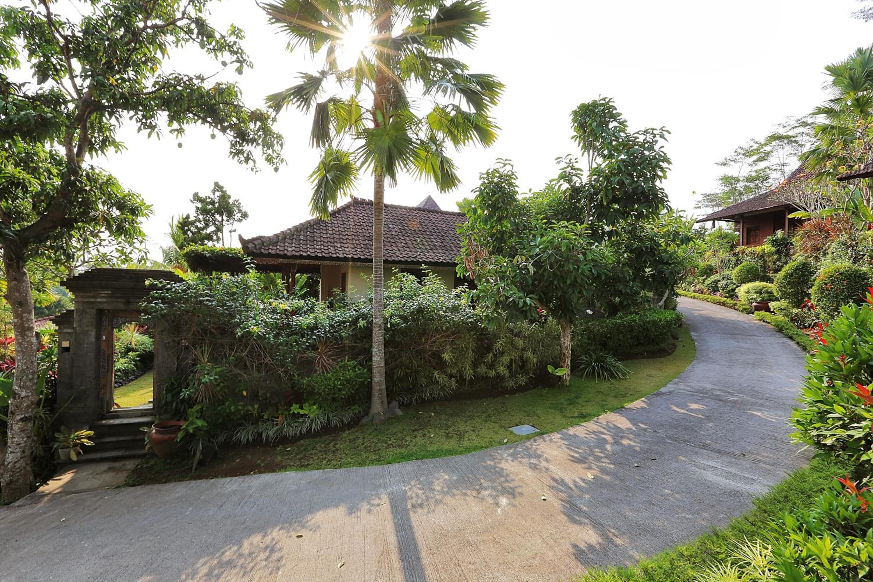 The Sanyas Retreat