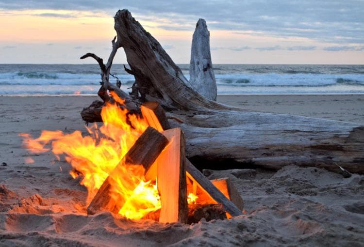 Driftwood Shores Resort