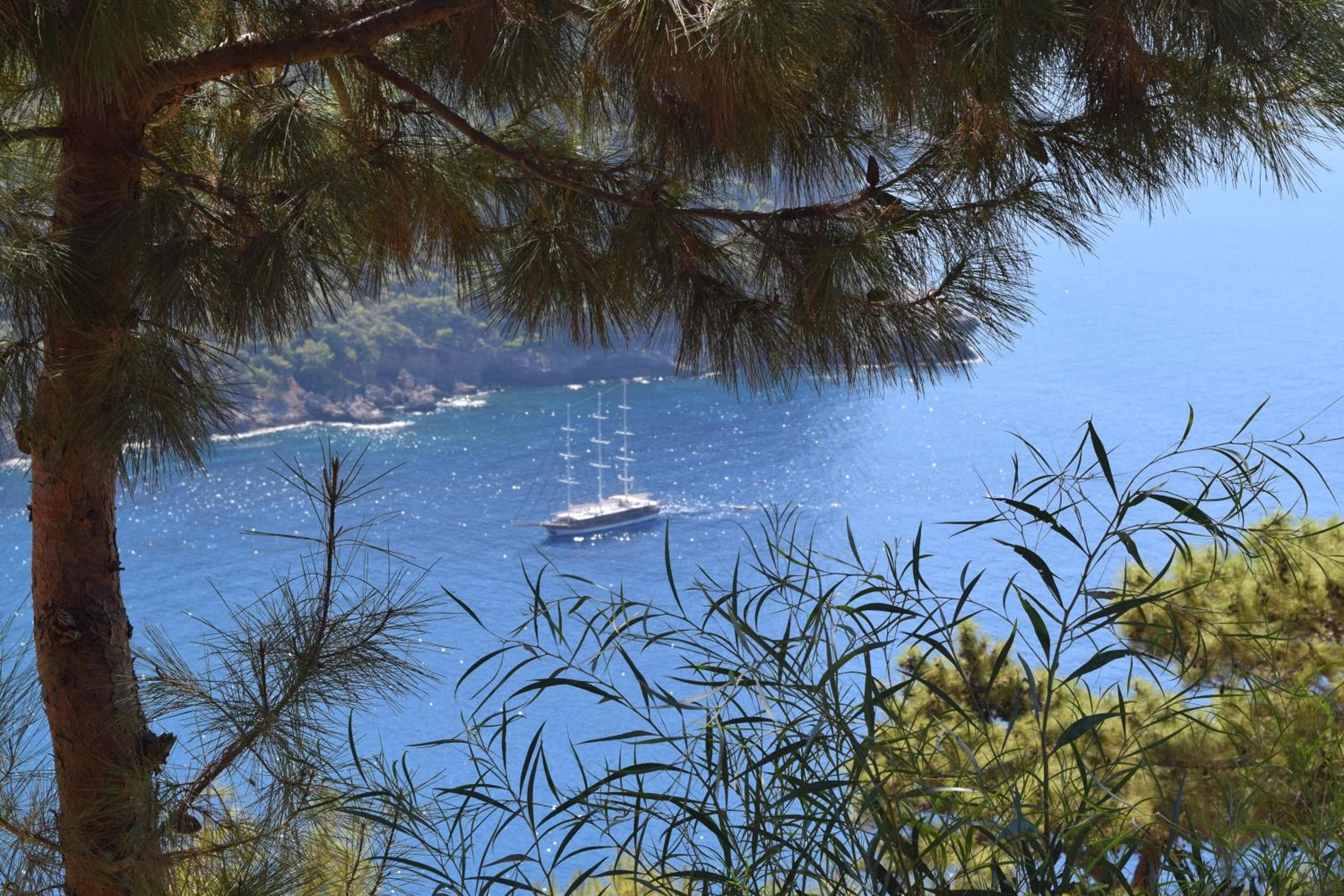 Kabak Avalon Bungalows