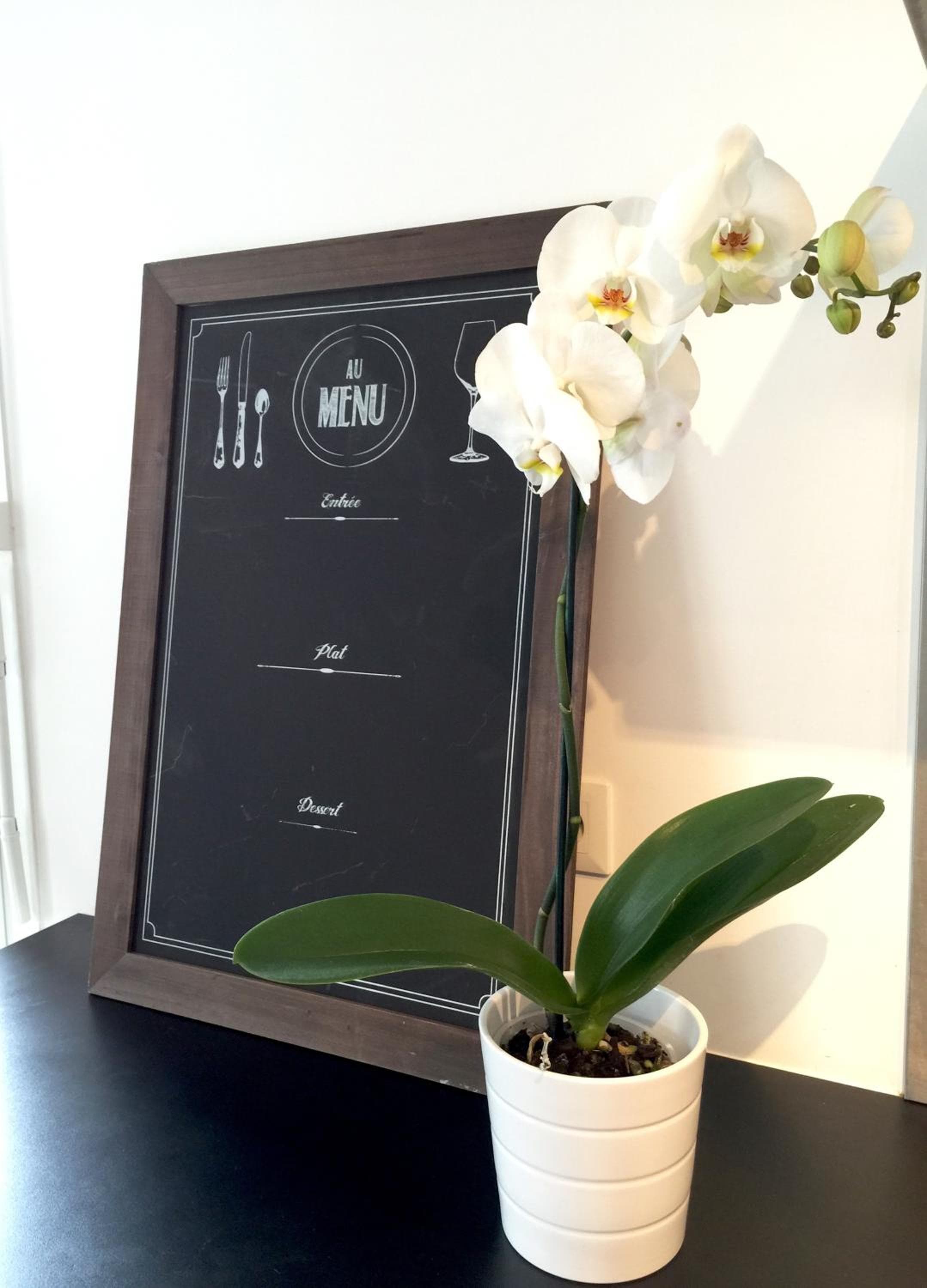 Appartement Copenhague Disneyland