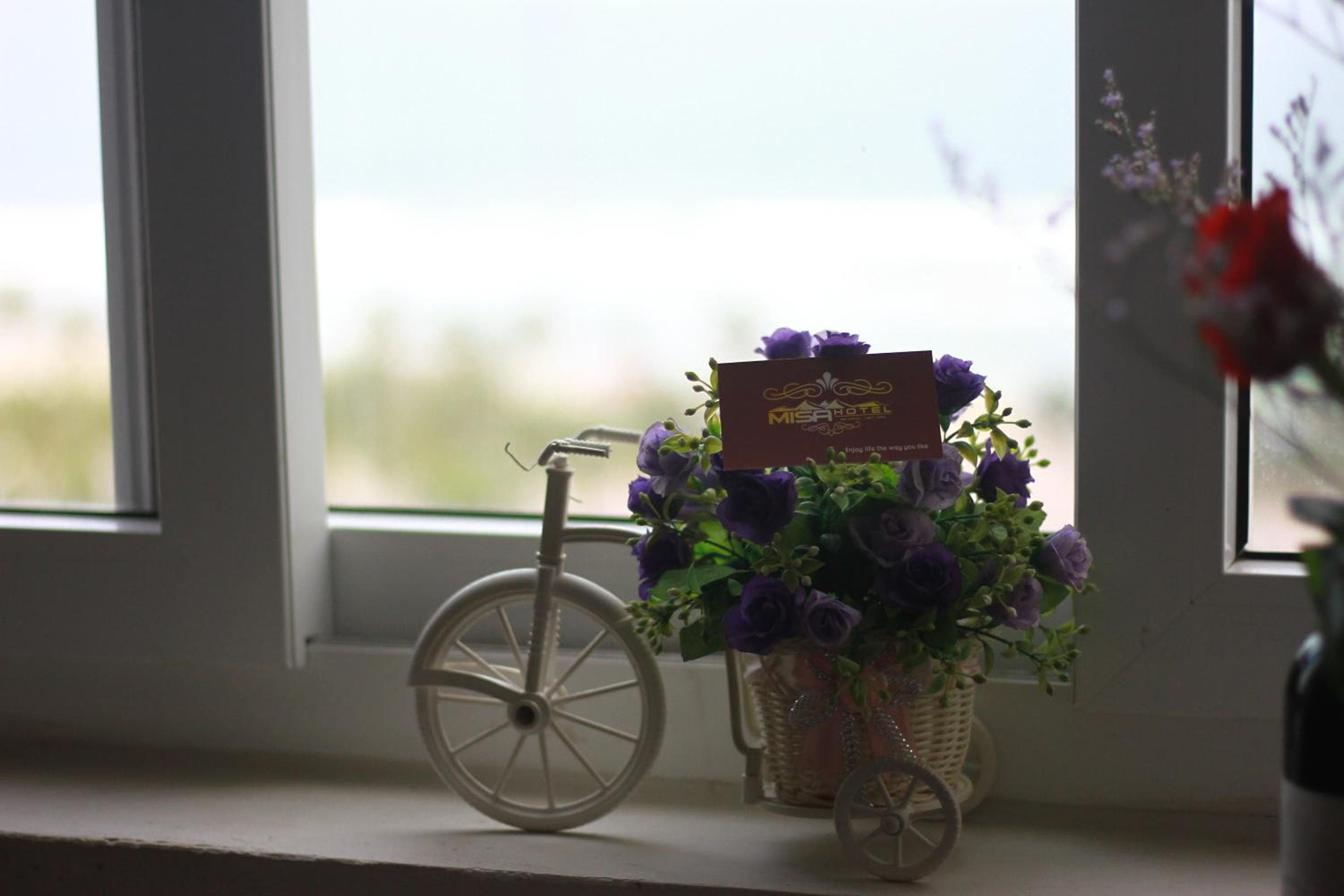Misa Hotel Da Nang