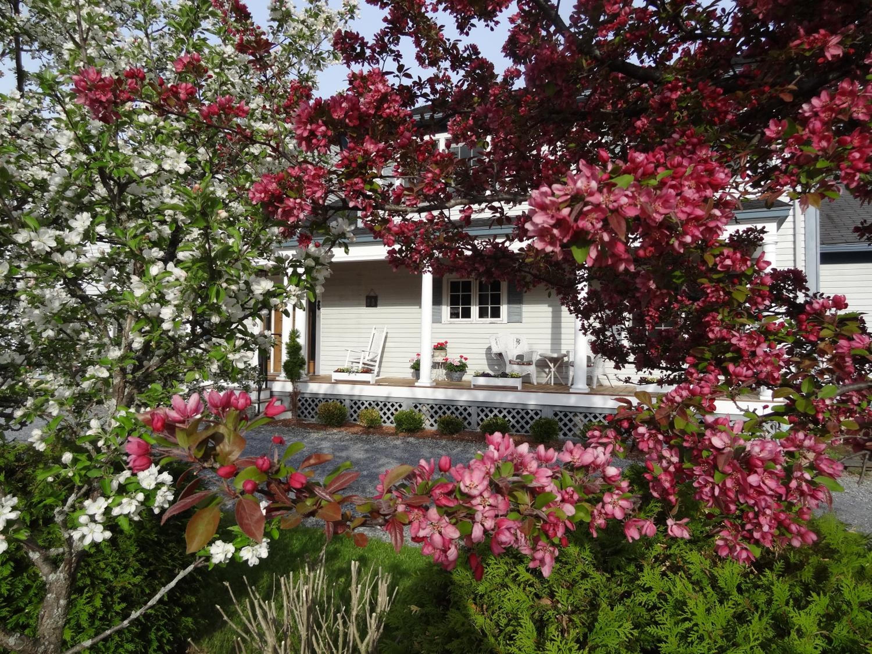 Williston Village Inn
